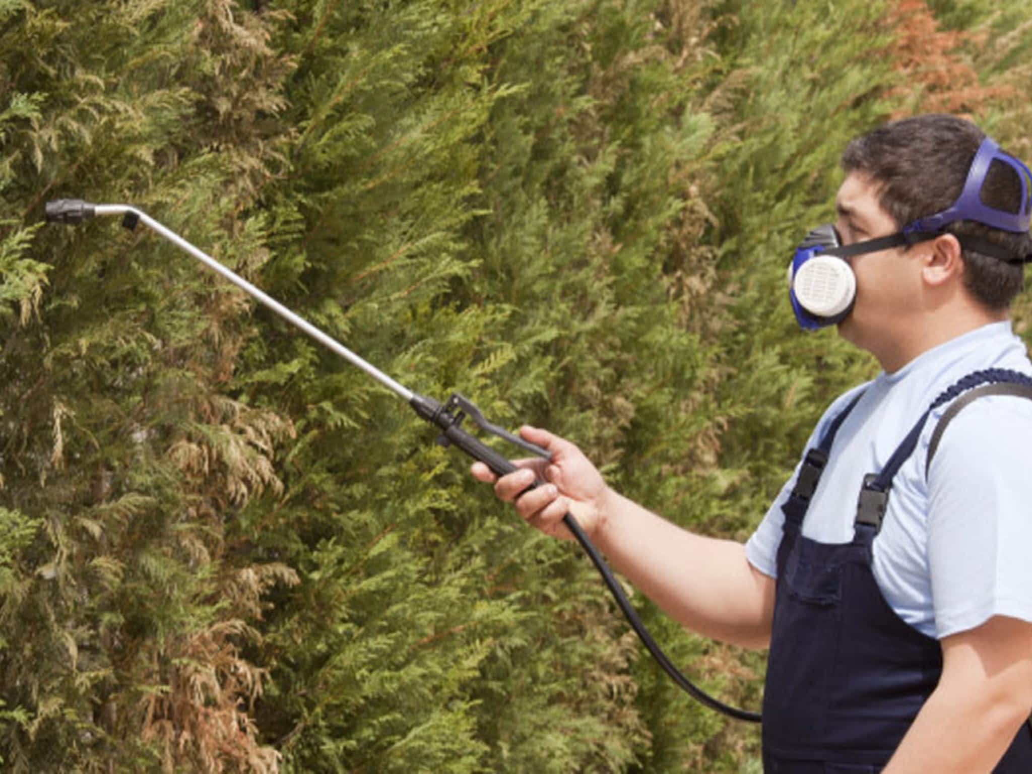 photo Extermination Dynamique