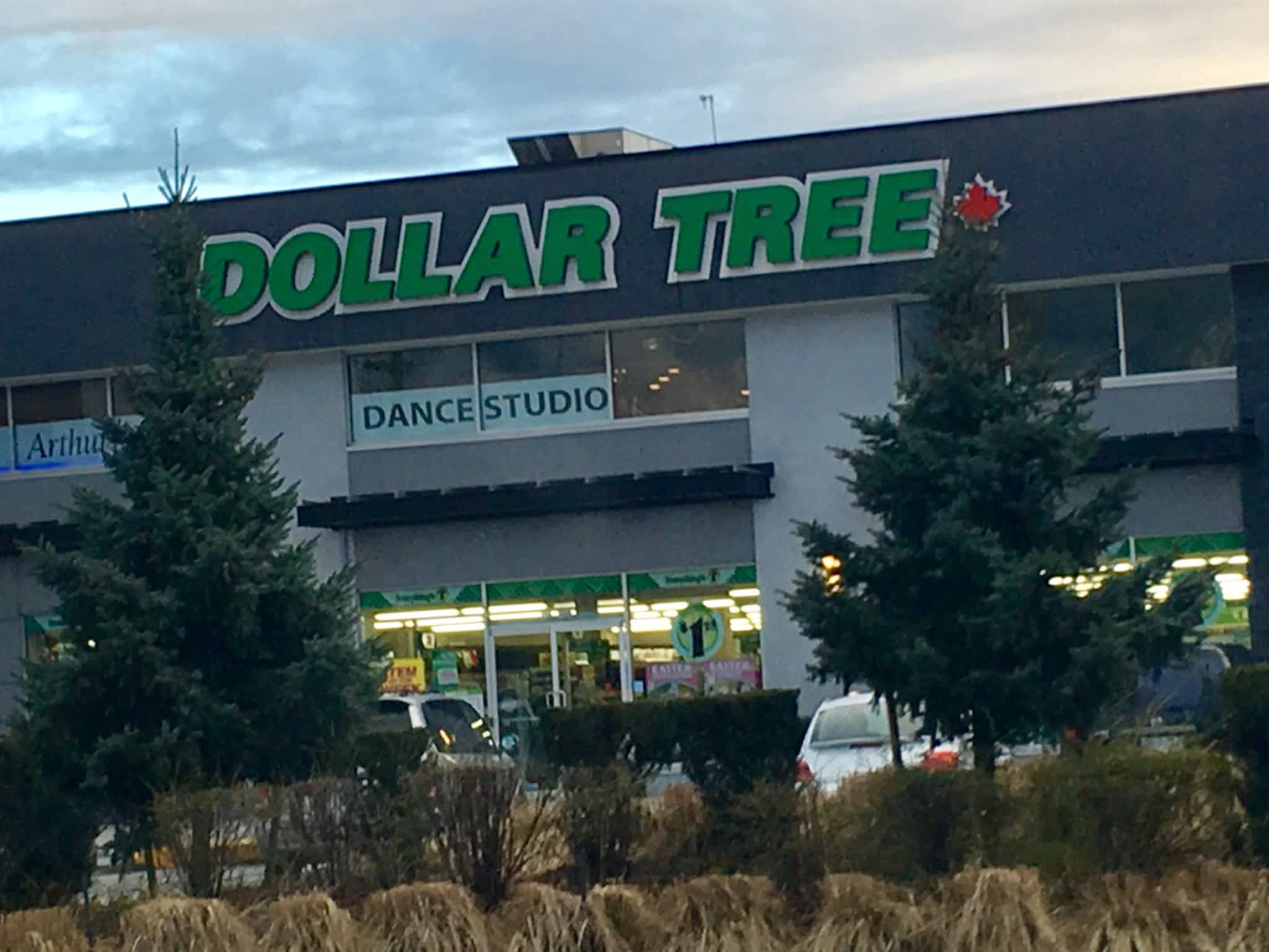 photo Dollar Tree