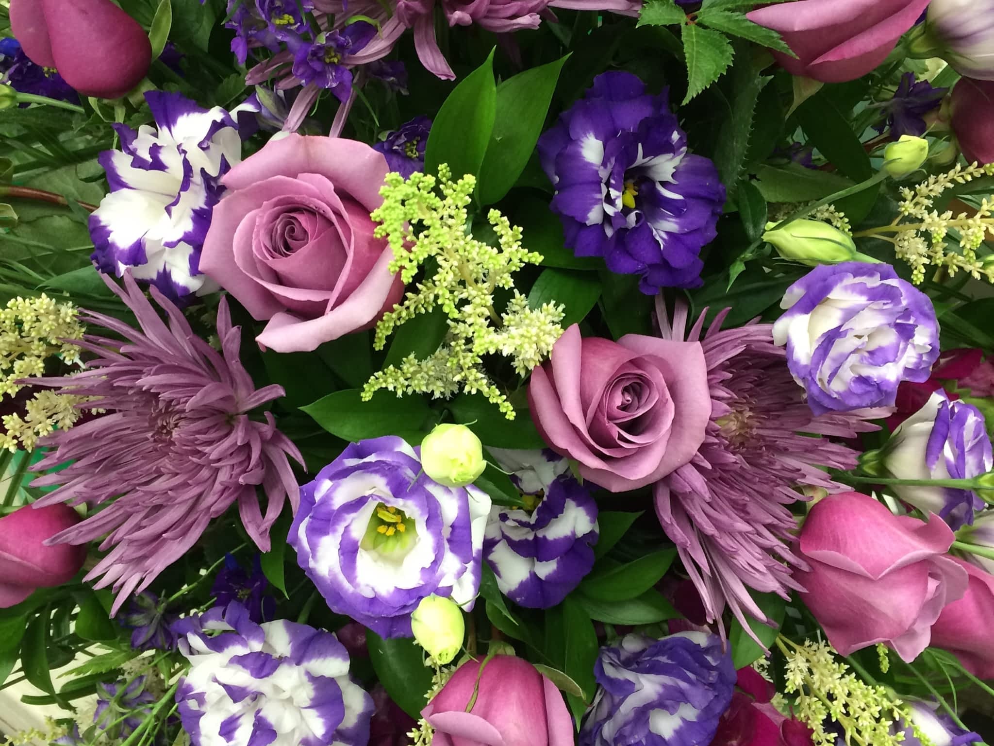 photo Violet Bloom's Fresh Flowers Inc