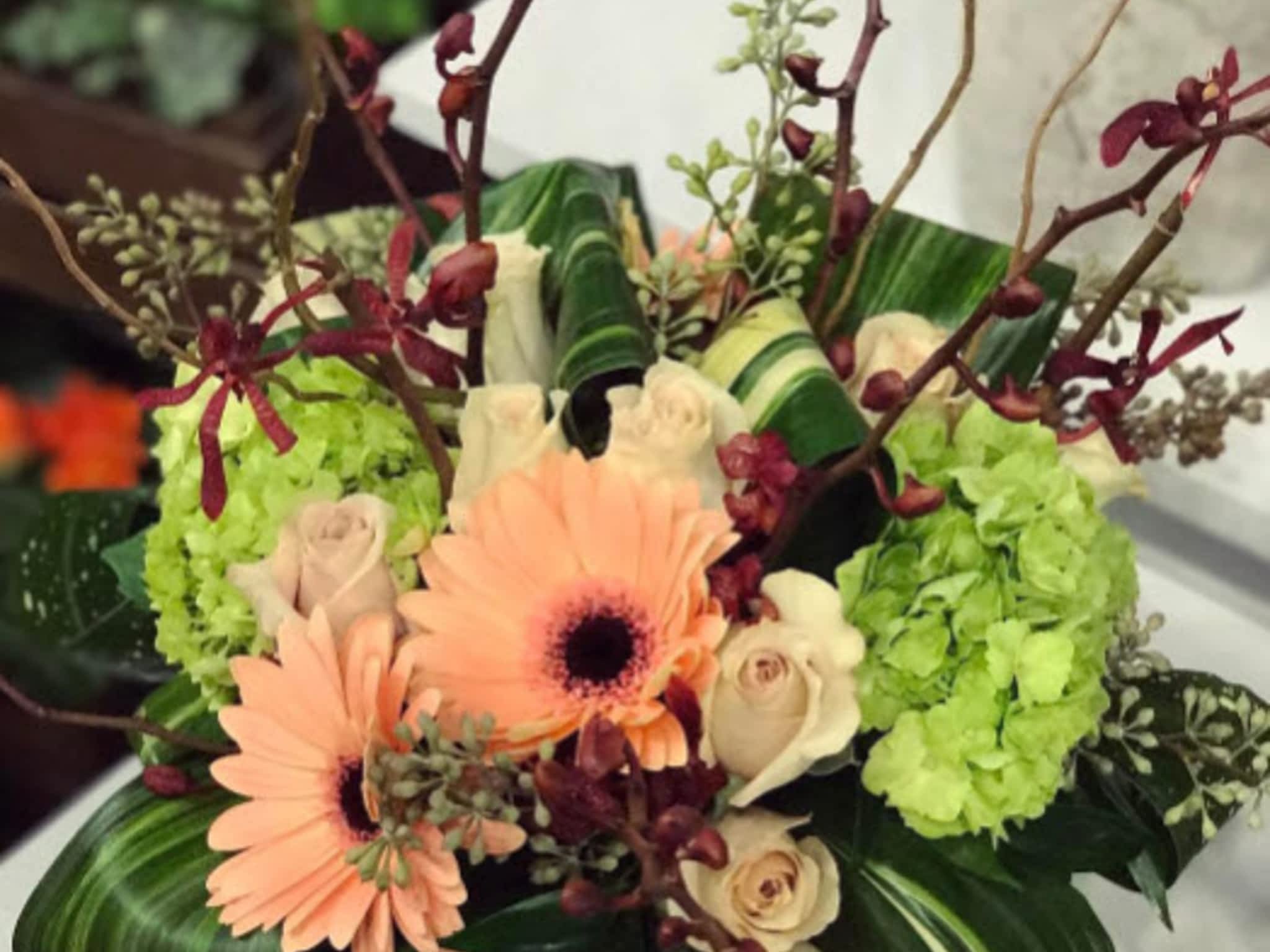 Valentine’s day cookie delivery in montreal, toronto and oakville The Watering Can Flower Market - St Catharines, ON - 28 James St | Canpages