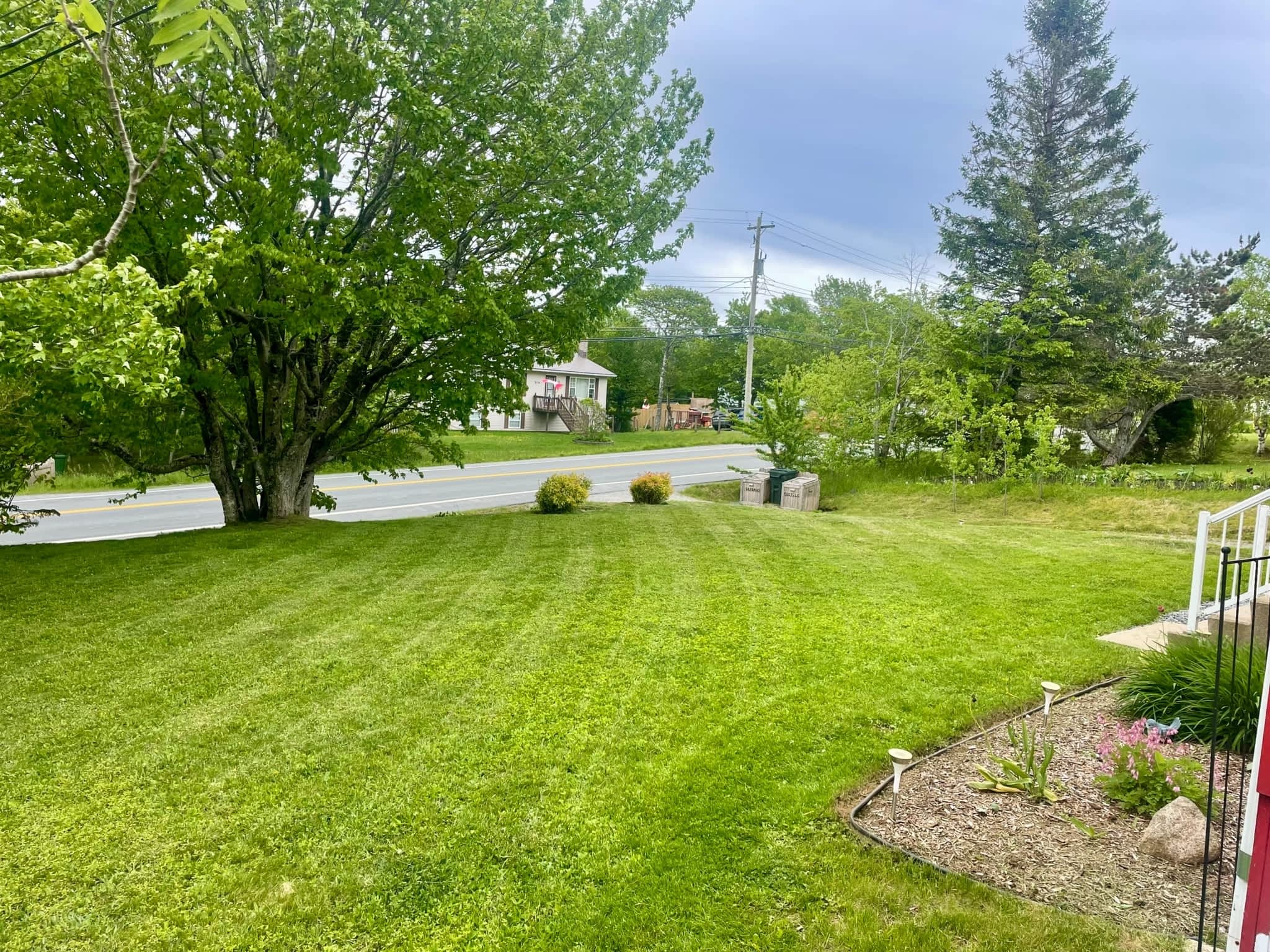 photo Brad's Tree Pro