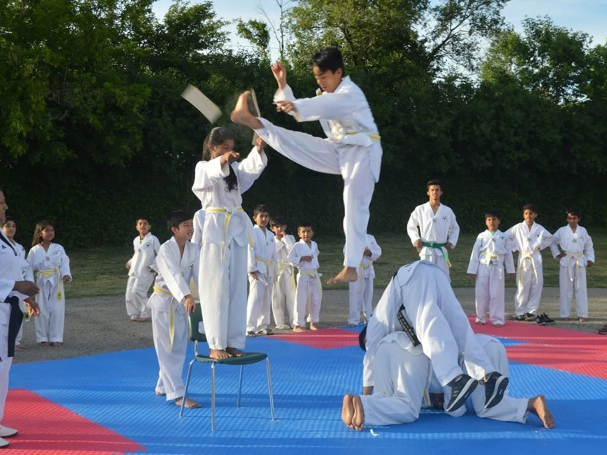 photo Everest Taekwondo Academy