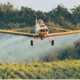Jim's Flying Service - Aerial Seeding & Spraying Service