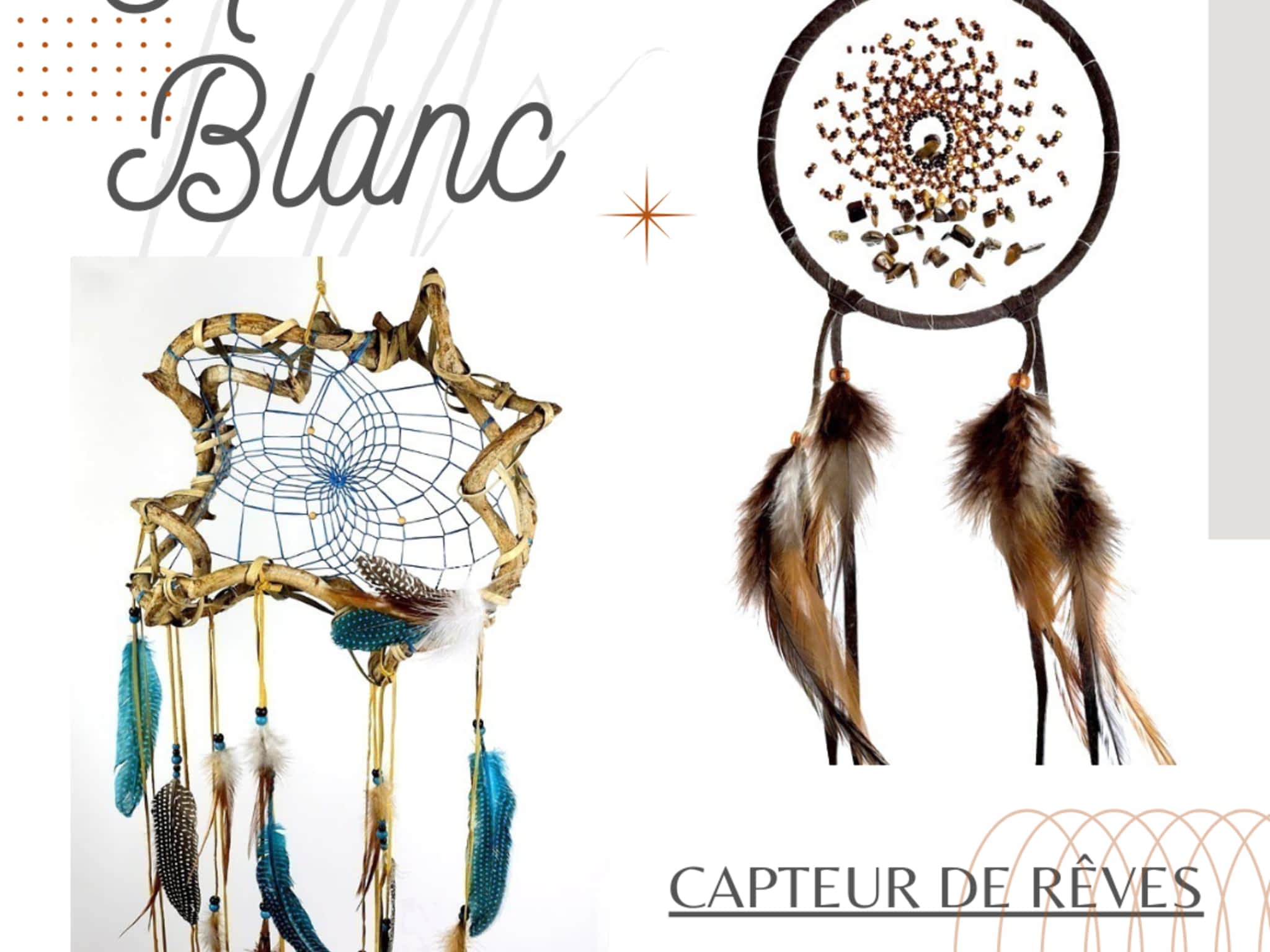 photo Hibou Blanc inc