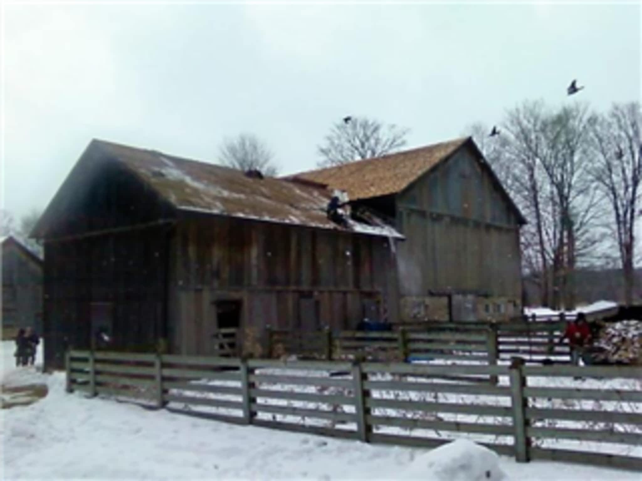 photo Hamlet Roofing