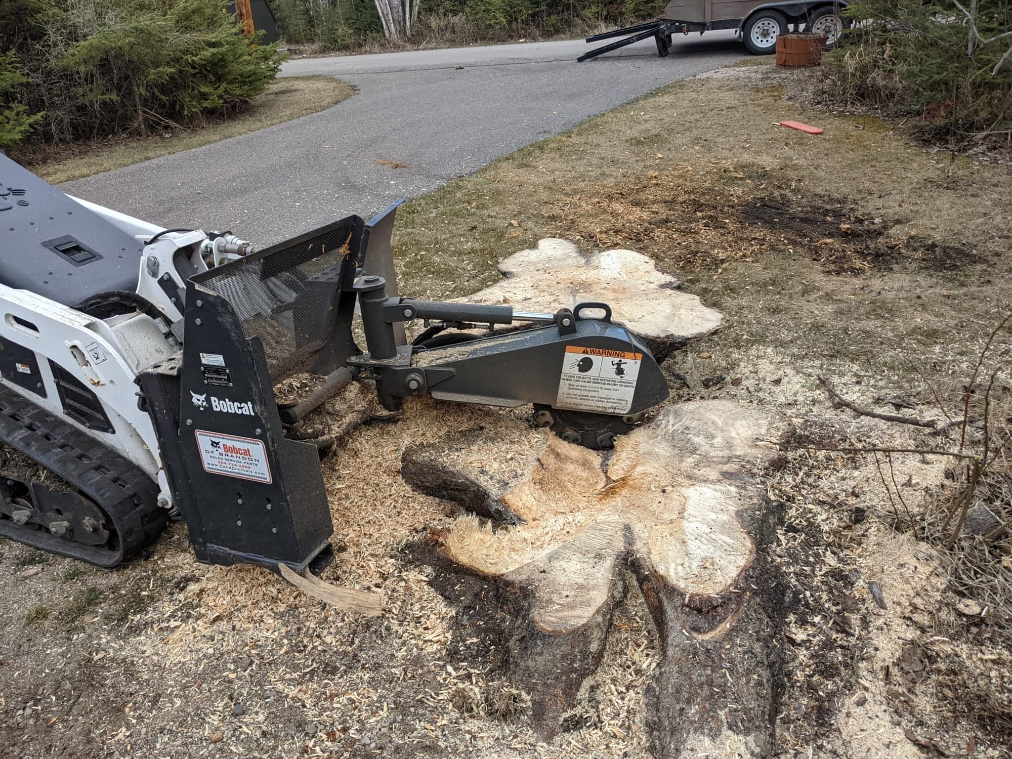 photo Shamrock Tree Services