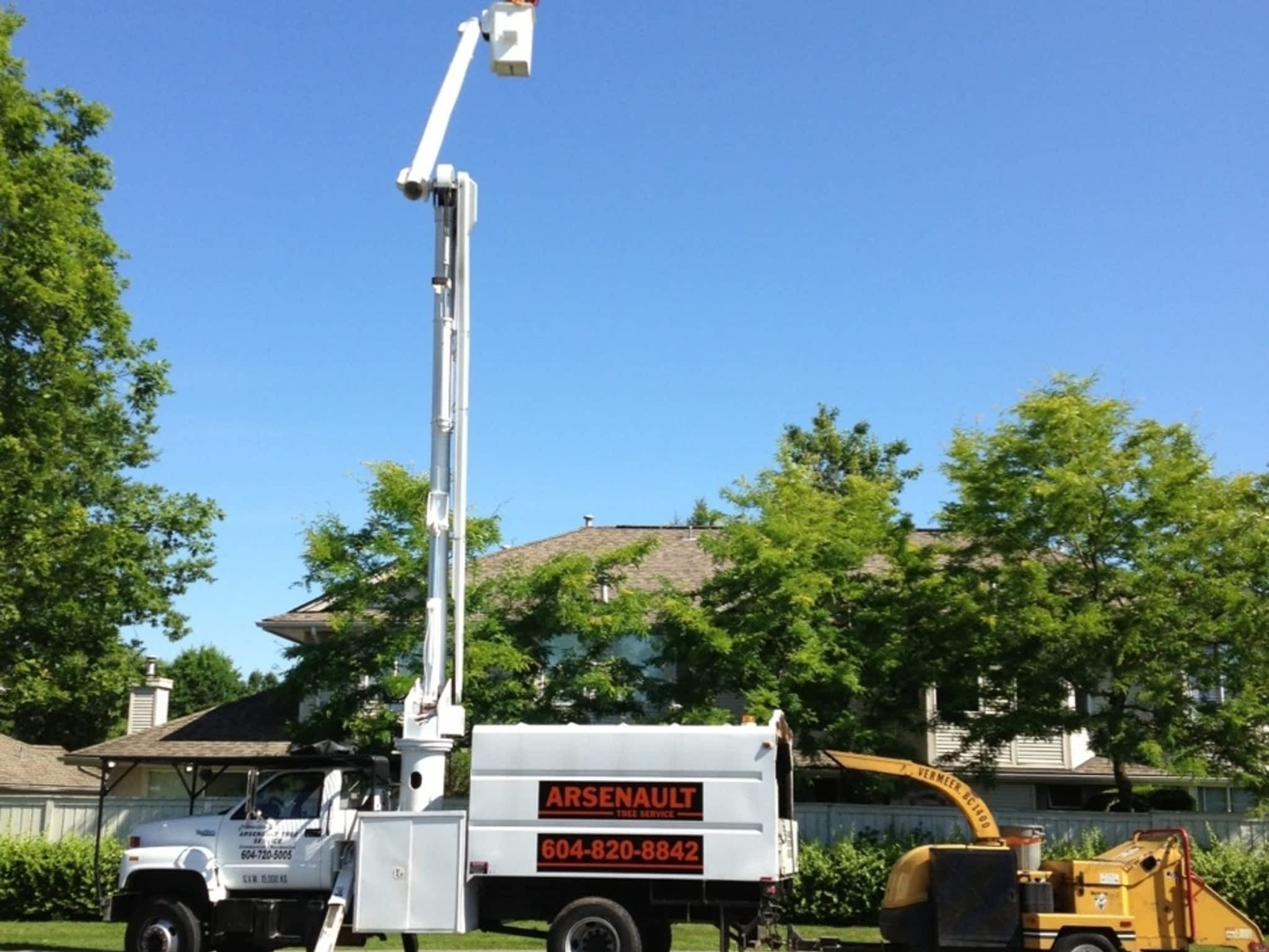 photo Arsenault Tree Service