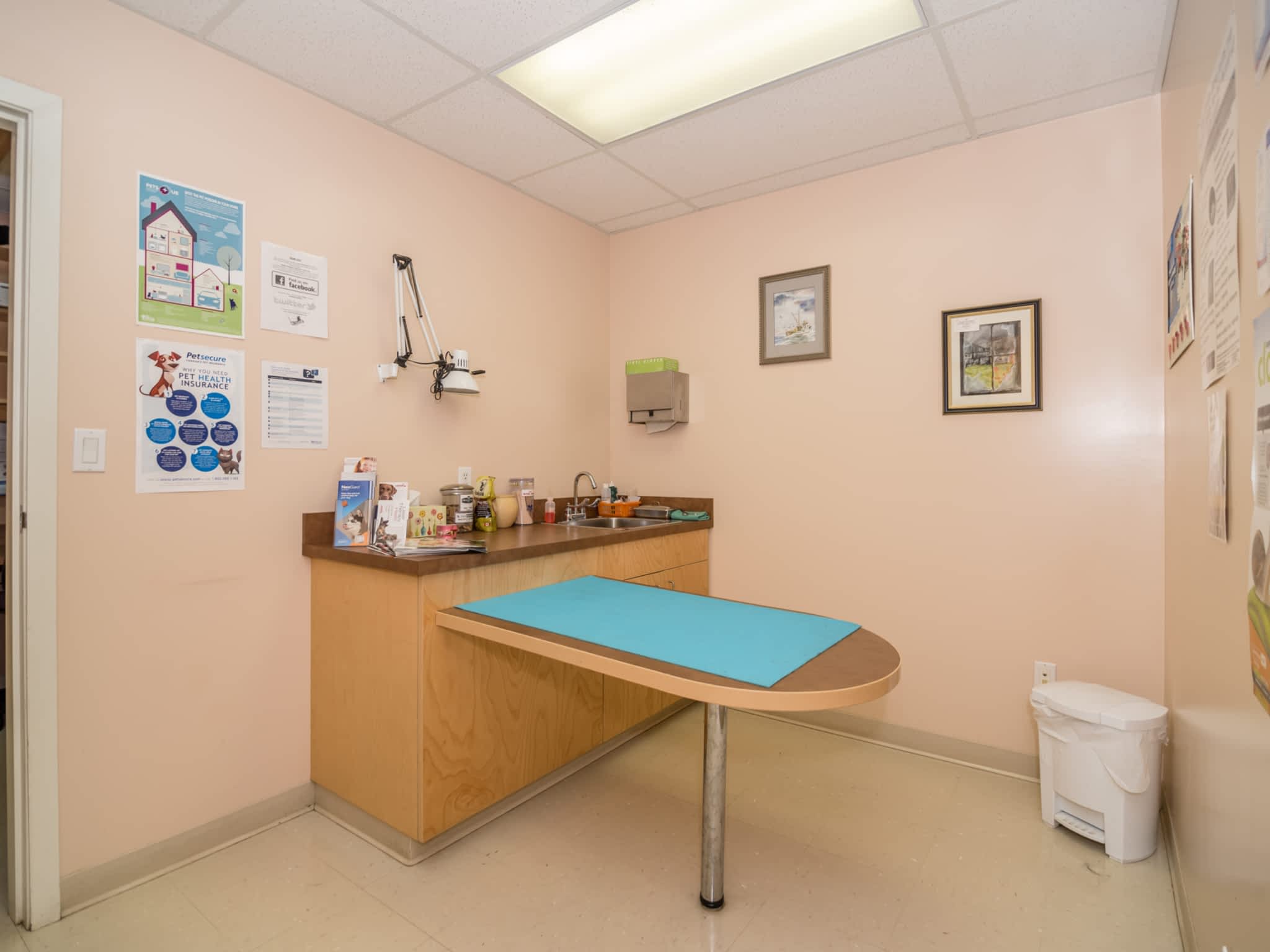 photo Vedder Mountain Veterinary Clinic