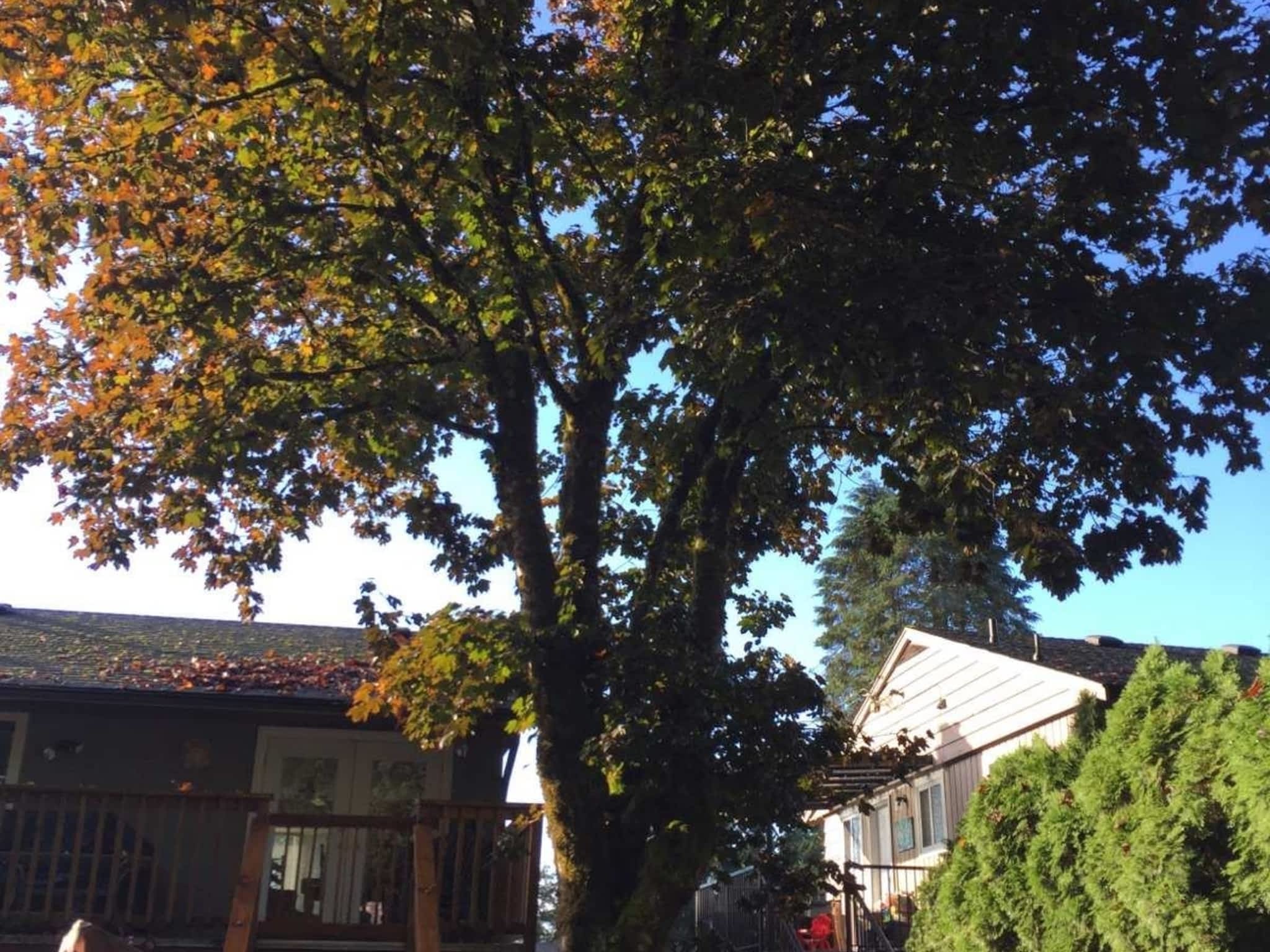 photo Ridge Meadows Tree Service LTD 2.0