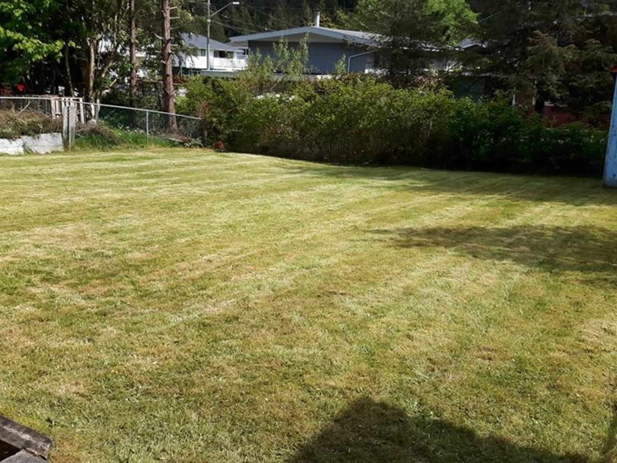 photo Adam's Lawn & Yard Maintenance