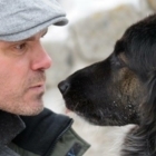 Consultant Canin - Dressage et éducation d'animaux de compagnie