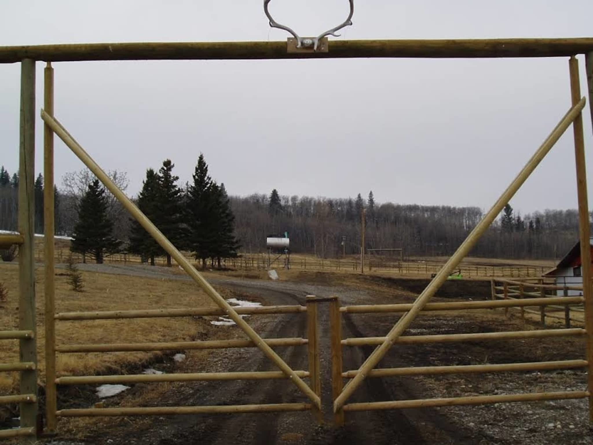 photo PepperTech Services Inc