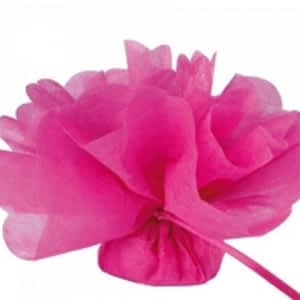 Candy Confectionery Stores In Kitchener Waterloo On