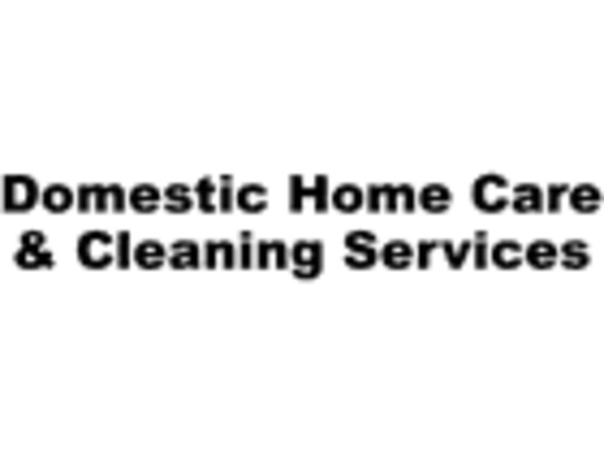 photo Domestic Home Care & Cleaning Services