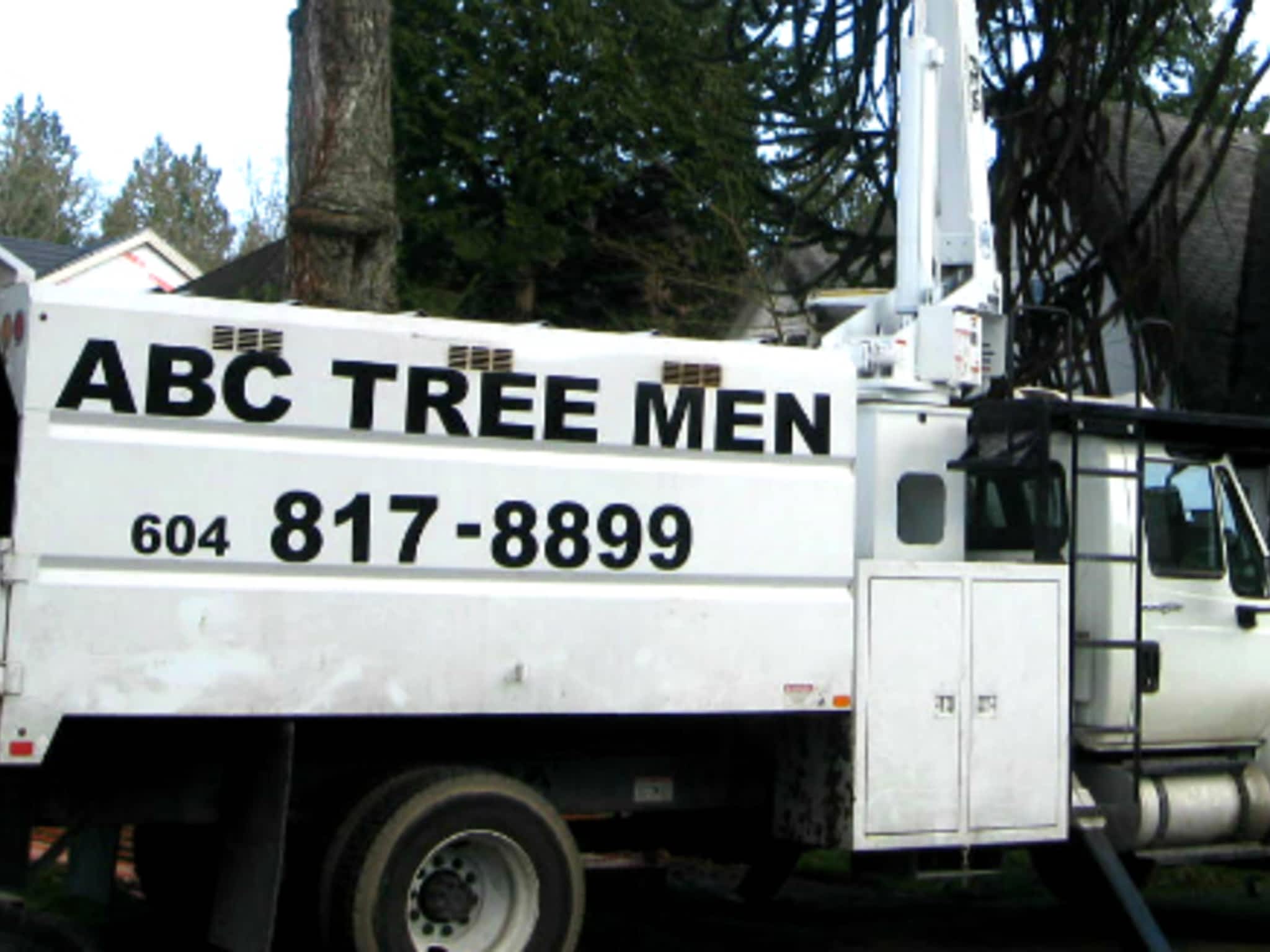 photo A B C Tree Men