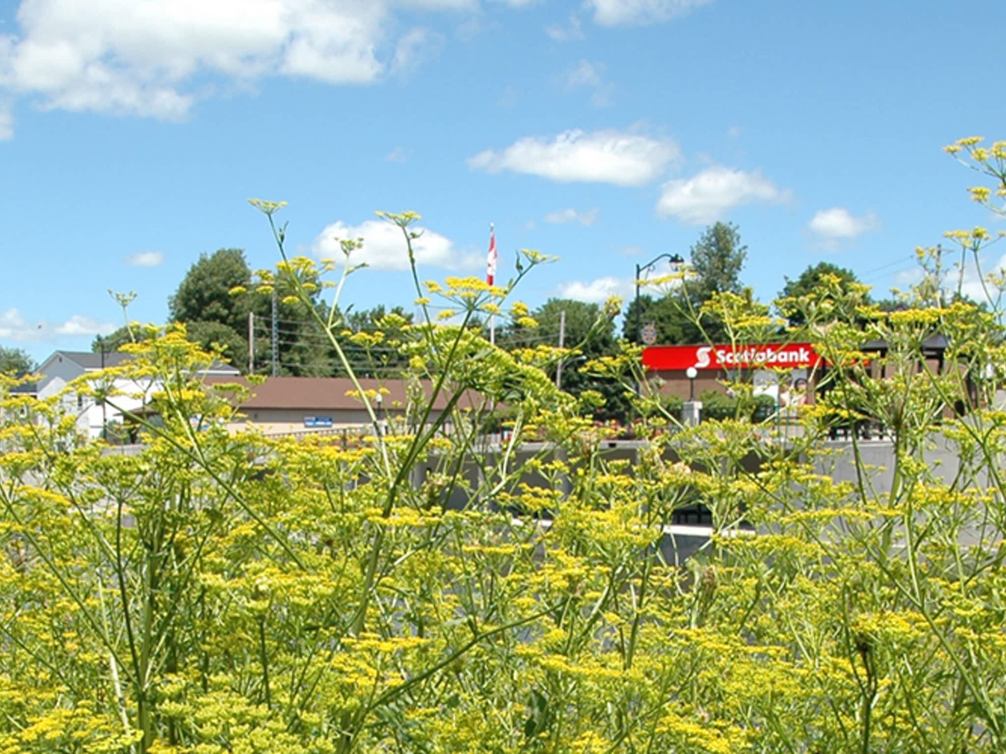 photo Wagar & Corput Weed Control Inc