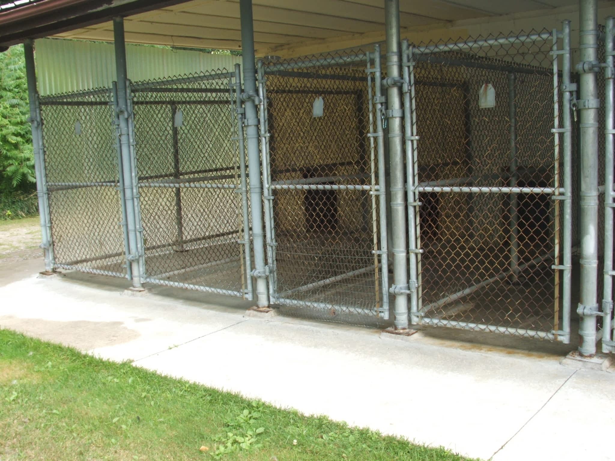 Country Kennels Baltimore, ON 626 County Road 22 RR 2 Canpages