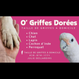 Voir le profil de O griffes dorés - Vimont