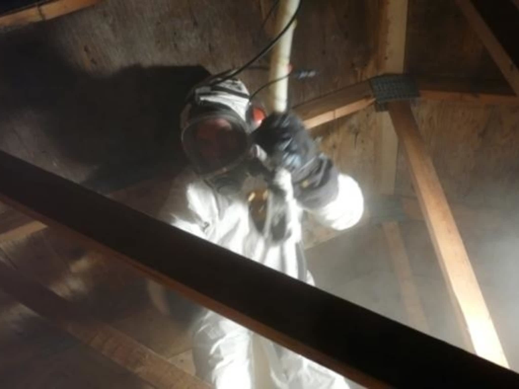 photo Templar Mould Asbestos Analysis & Removal