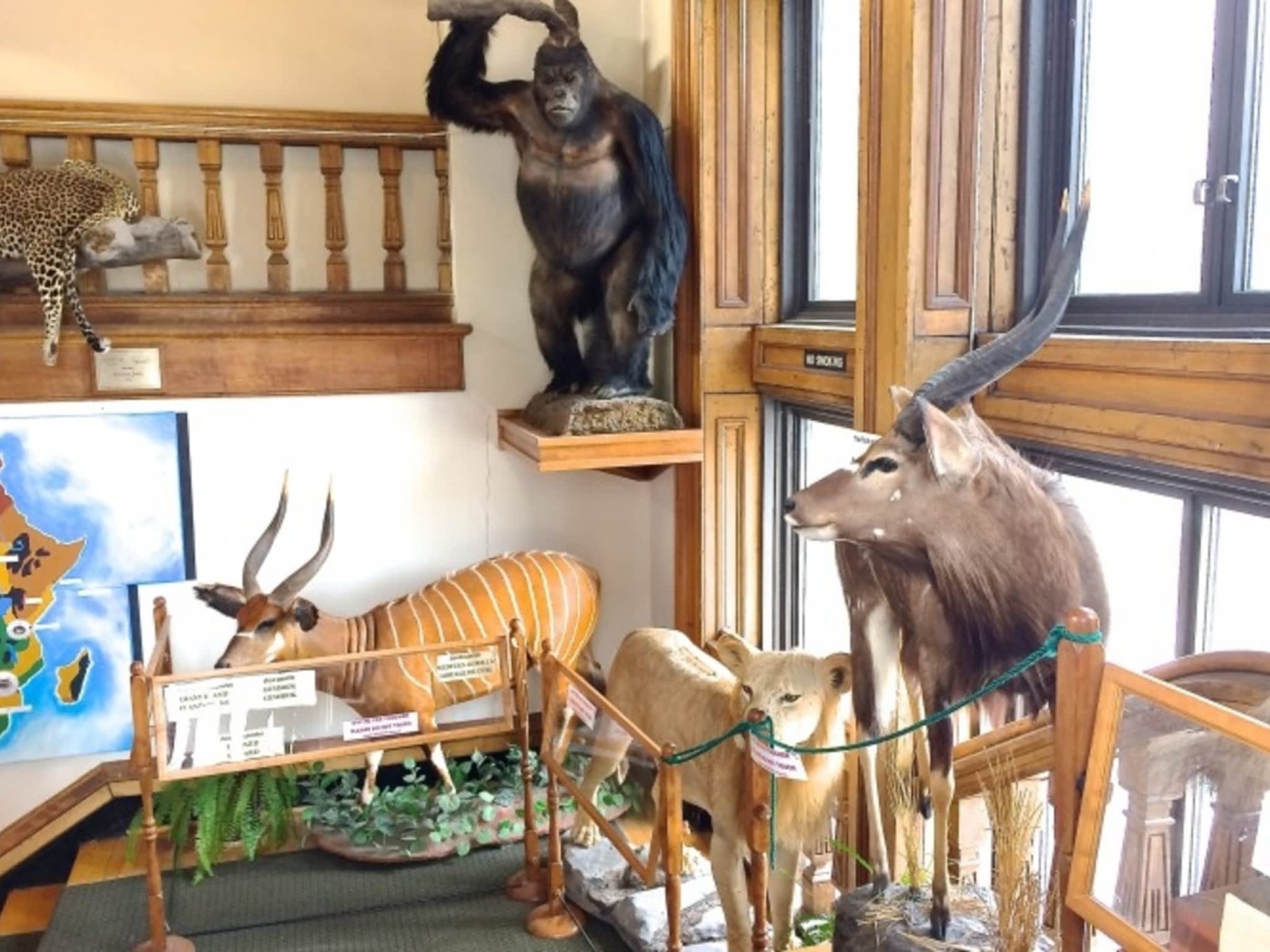 photo RedPath Museum