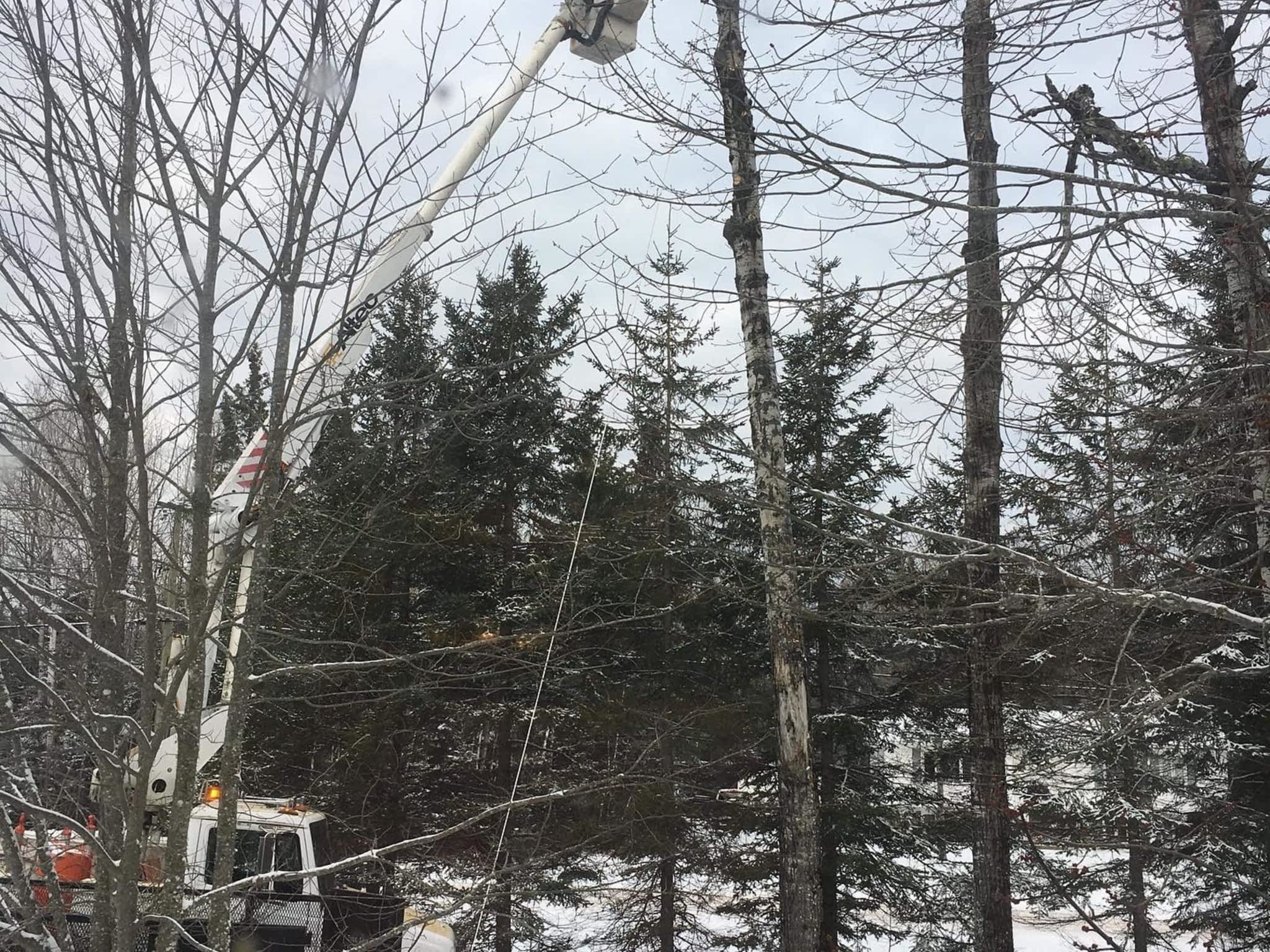 photo O'Blenes Trees & Services