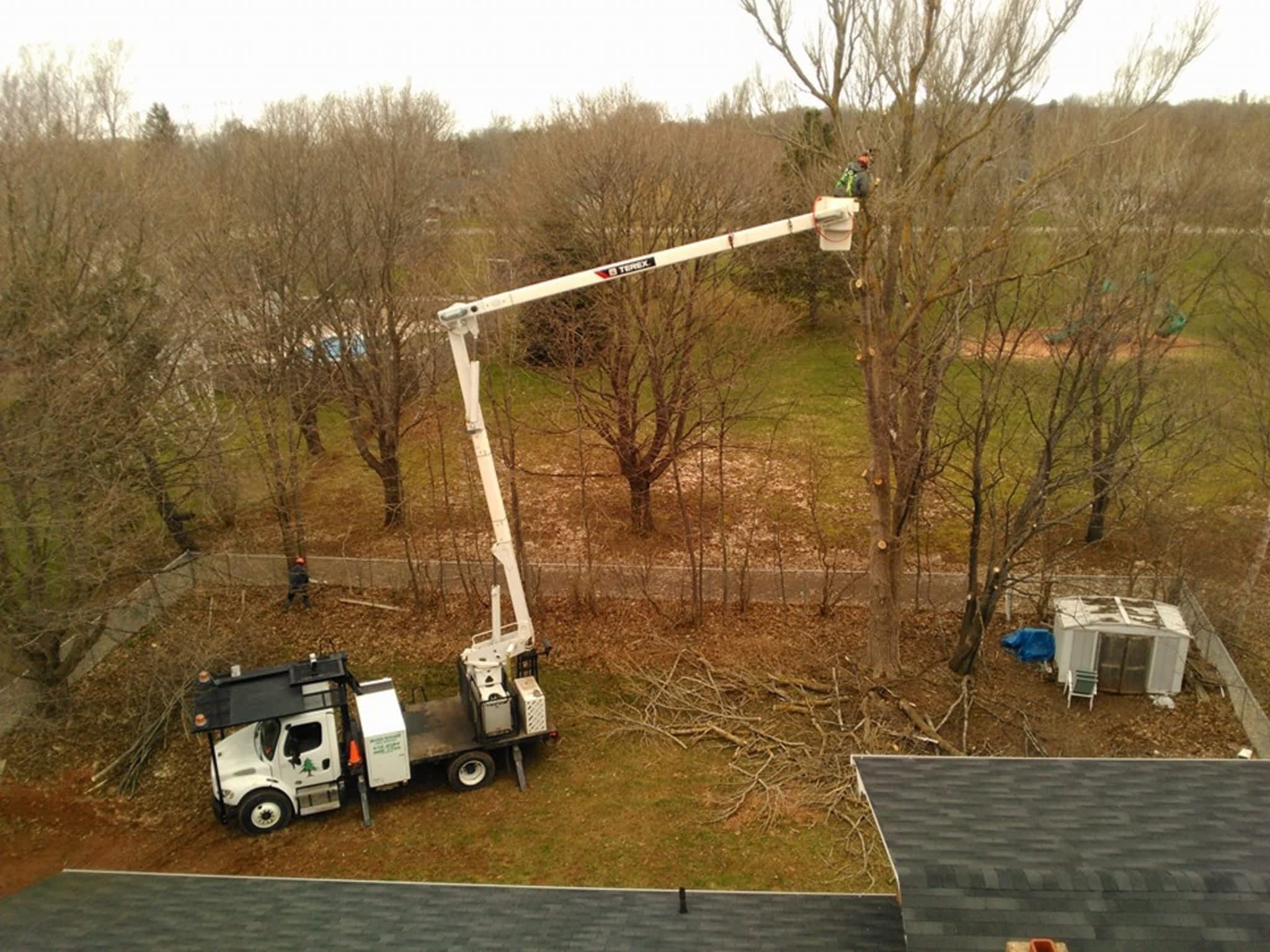 photo Branch Manager Tree Service