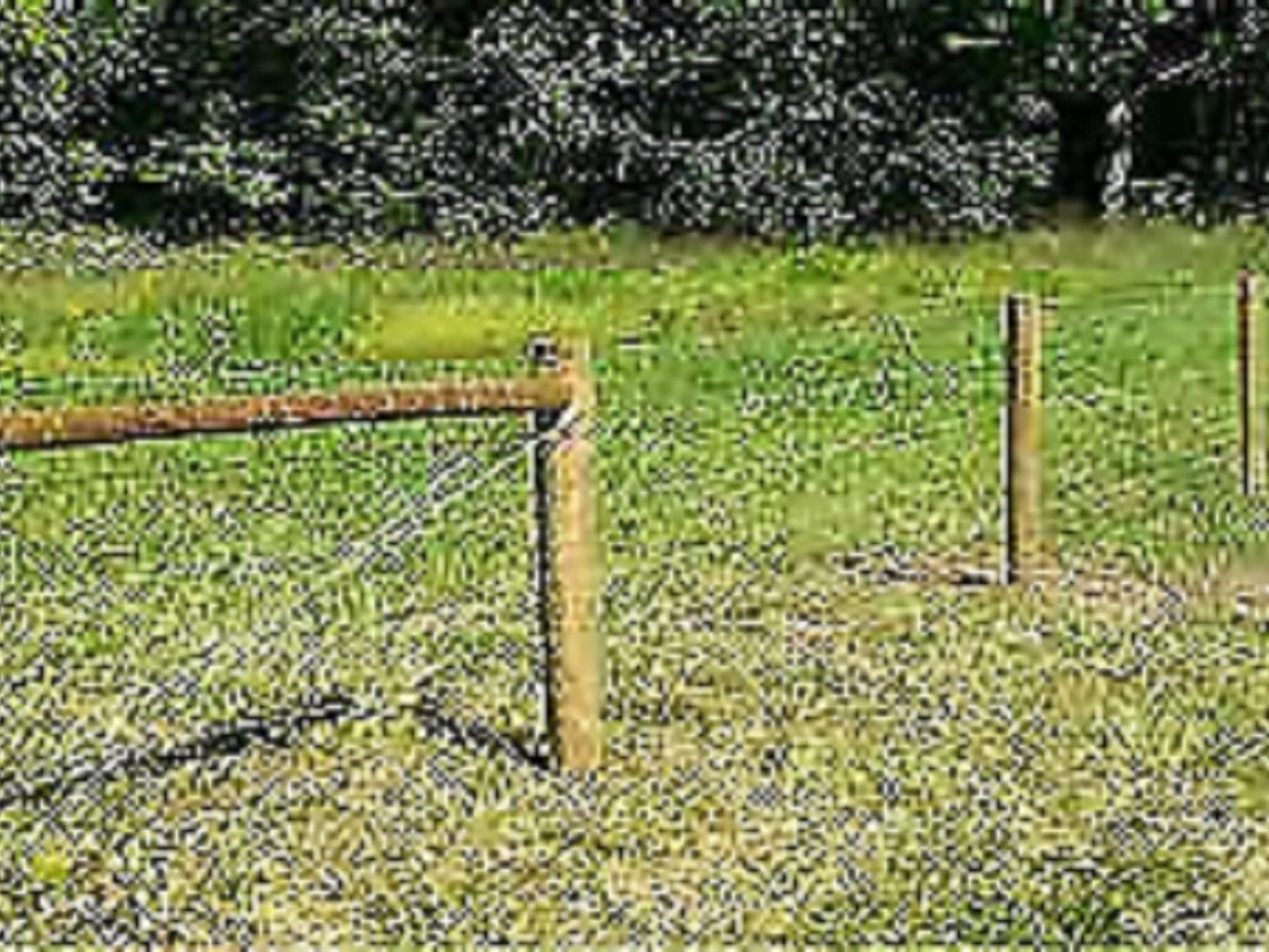 photo Custom Cattle Fencing