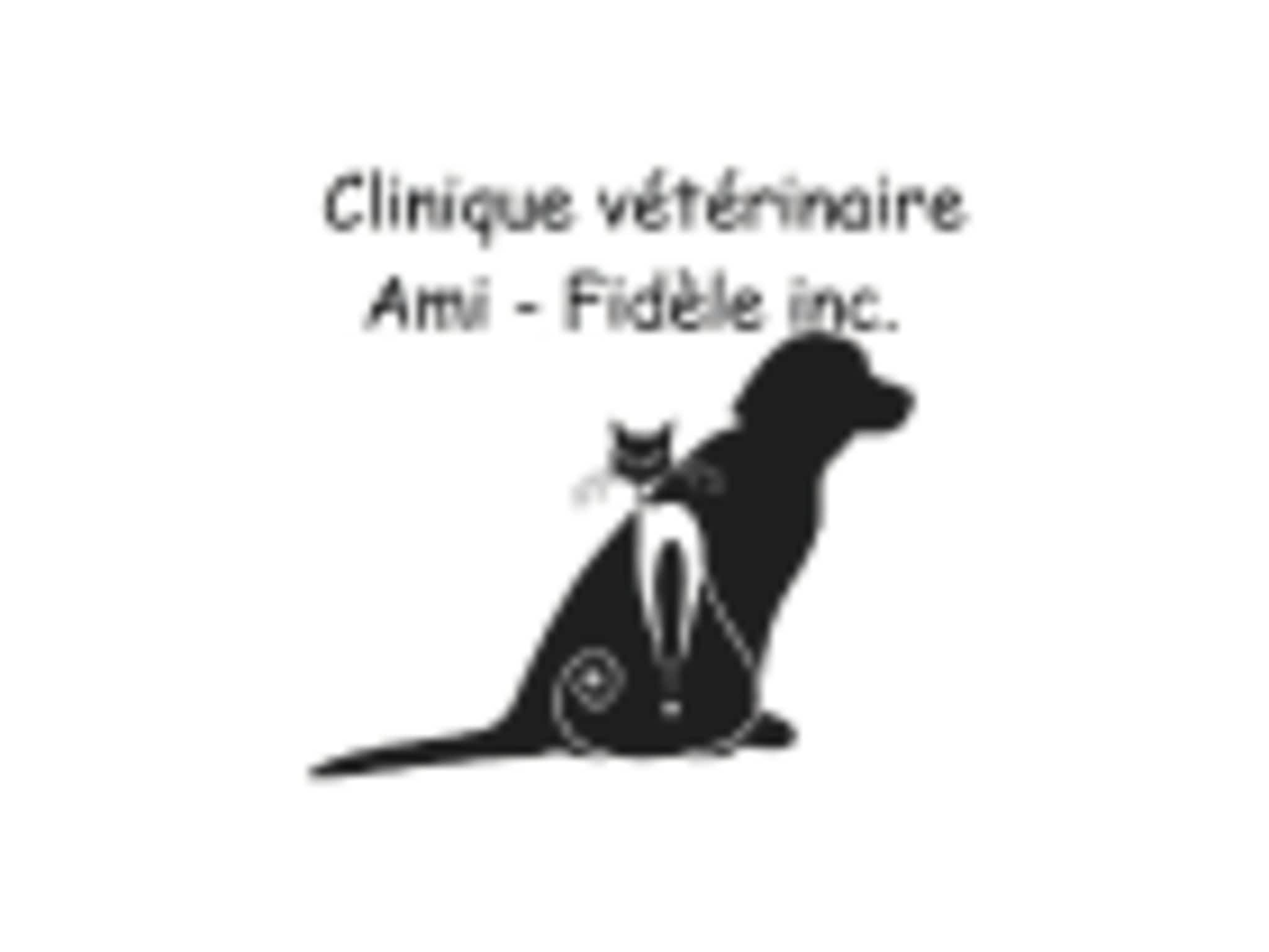 photo Clinique Vétérinaire Ami-Fidèle Inc