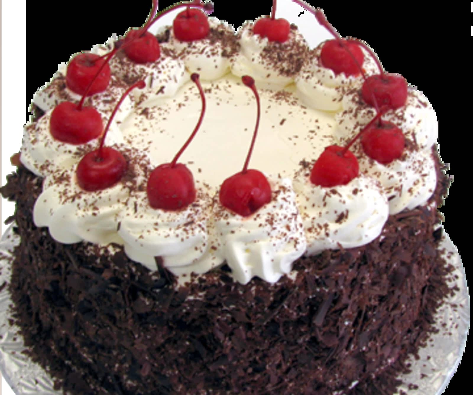 Patisserie St Noel Menu Hours Prices 709 Rue Labbe Thetford Mines Qc Patisserie St Noel Menu Hours Prices 709 Rue Labbe Thetford Mines Qc