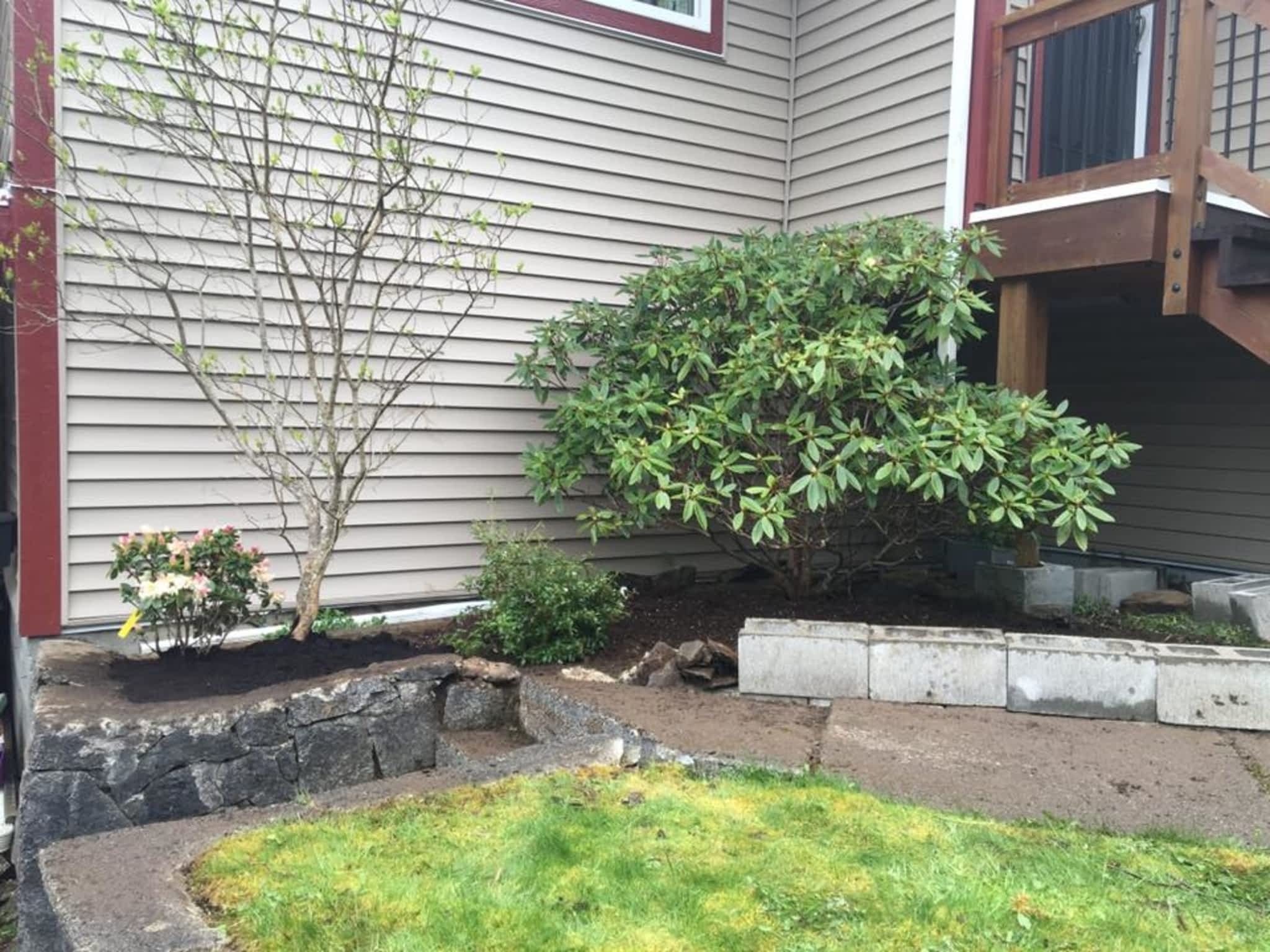 photo Adam's Lawn & Yard Maintenance