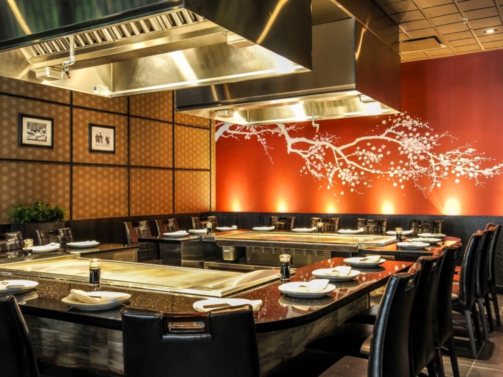 photo Hibachi Teppanyaki & Bar - Downtown