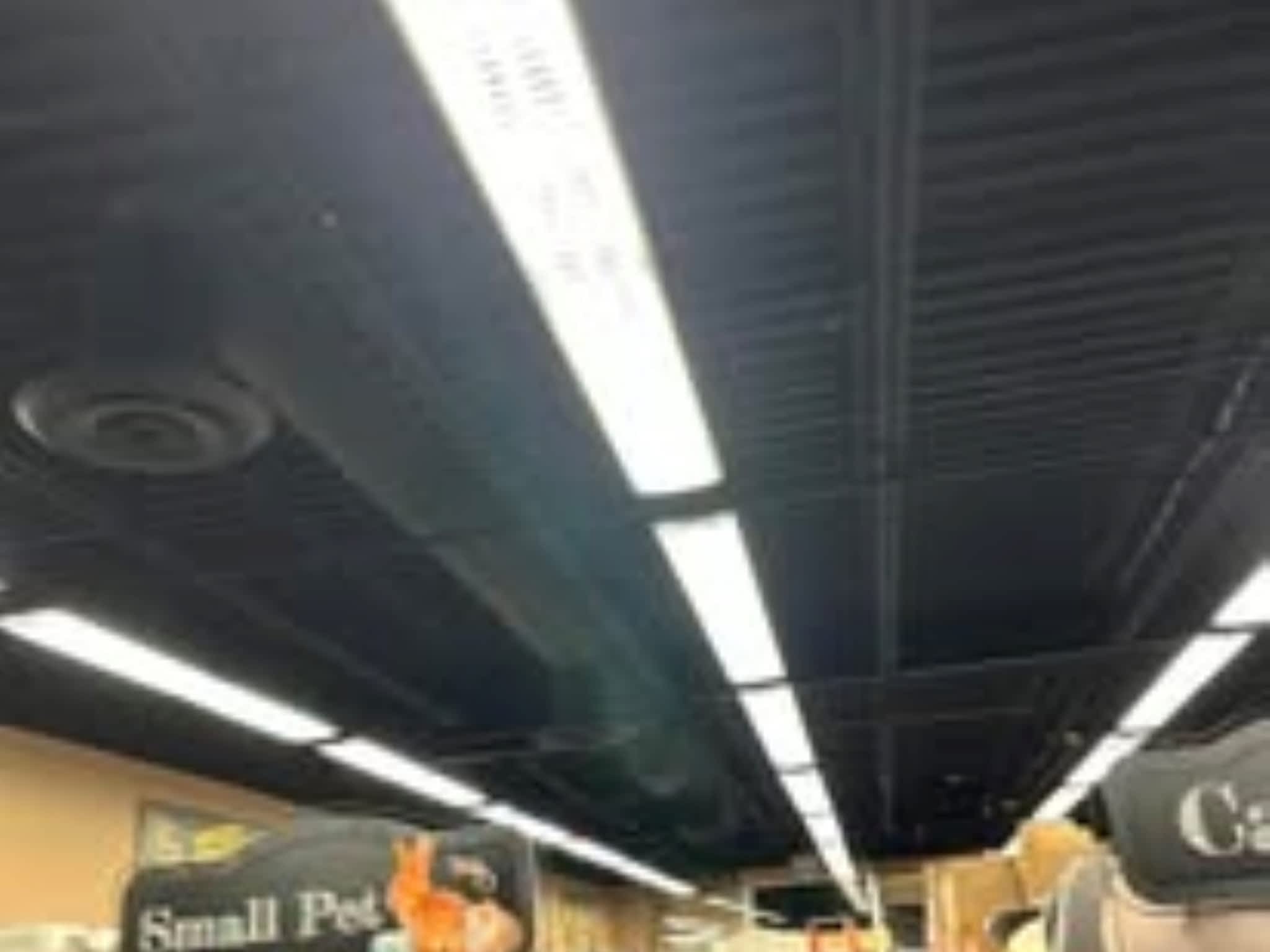 photo Spark Installations LTD