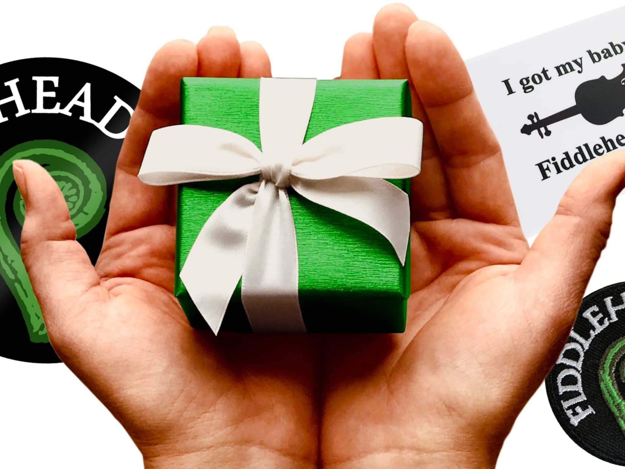 photo Fiddleheads Violin Studio