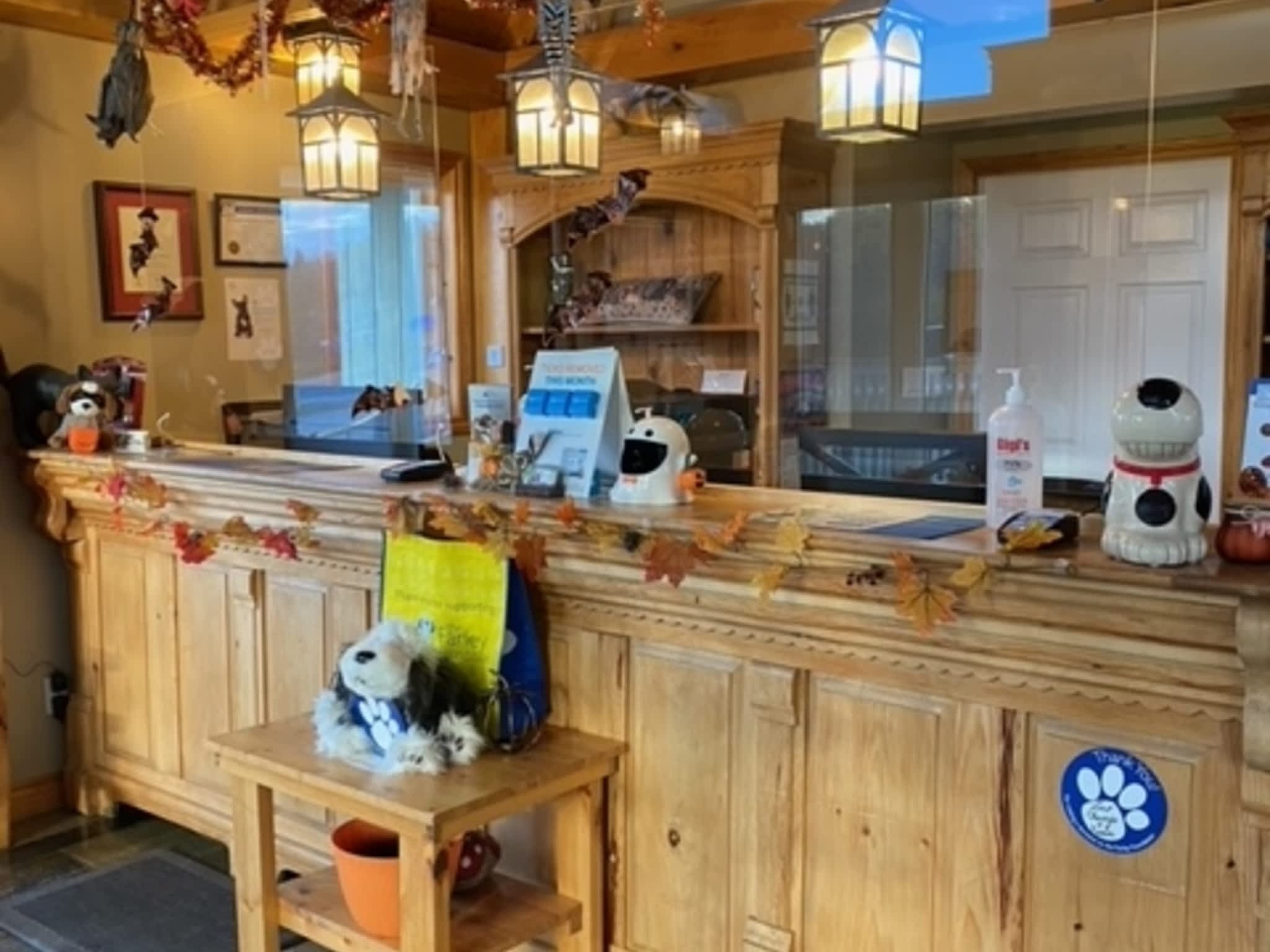 photo Gull River Veterinary Services