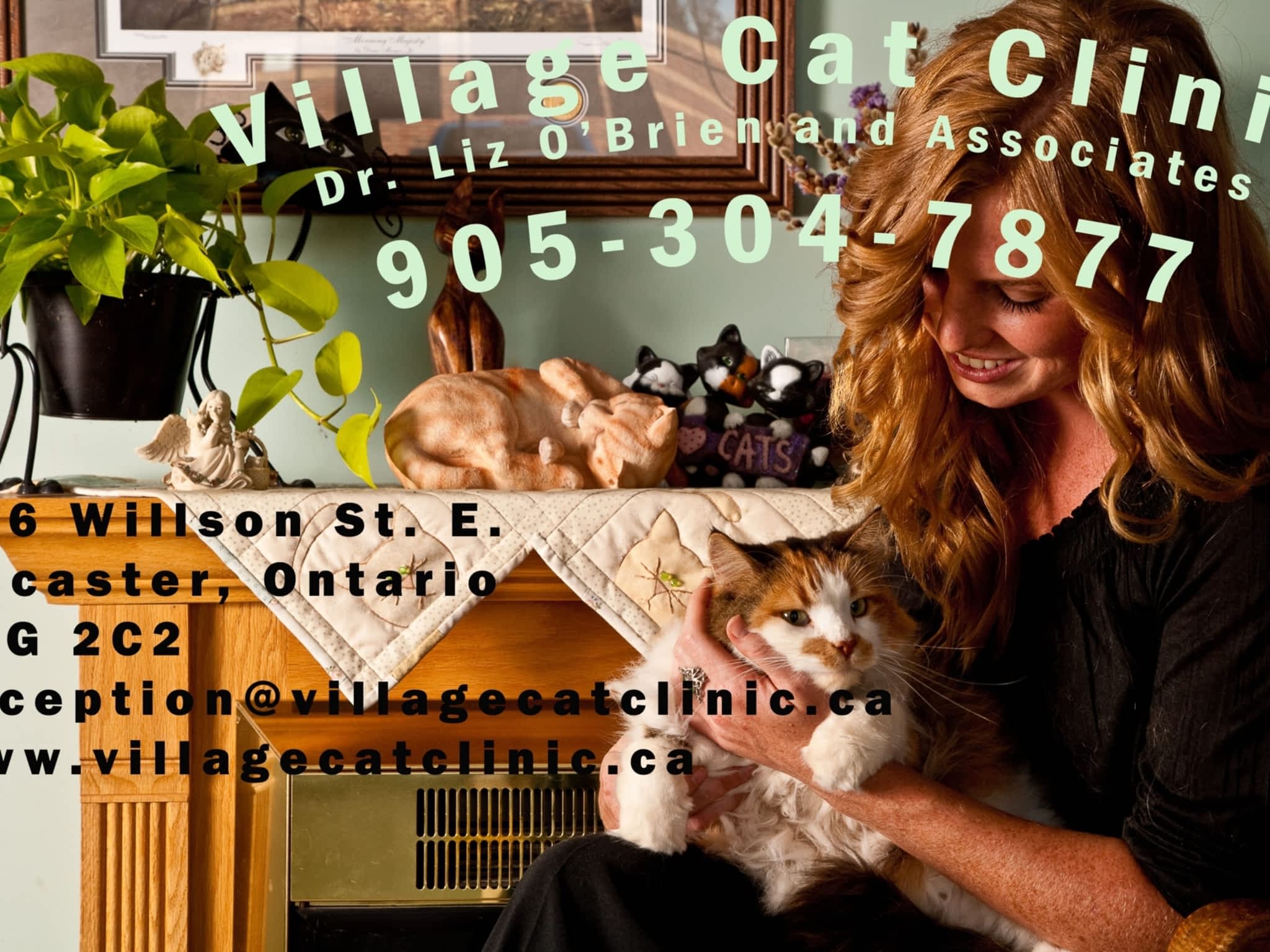 photo Village Cat Clinic