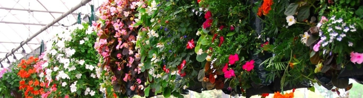 Garden Centres Supply Stores And Nurseries In Toronto Yp Smart
