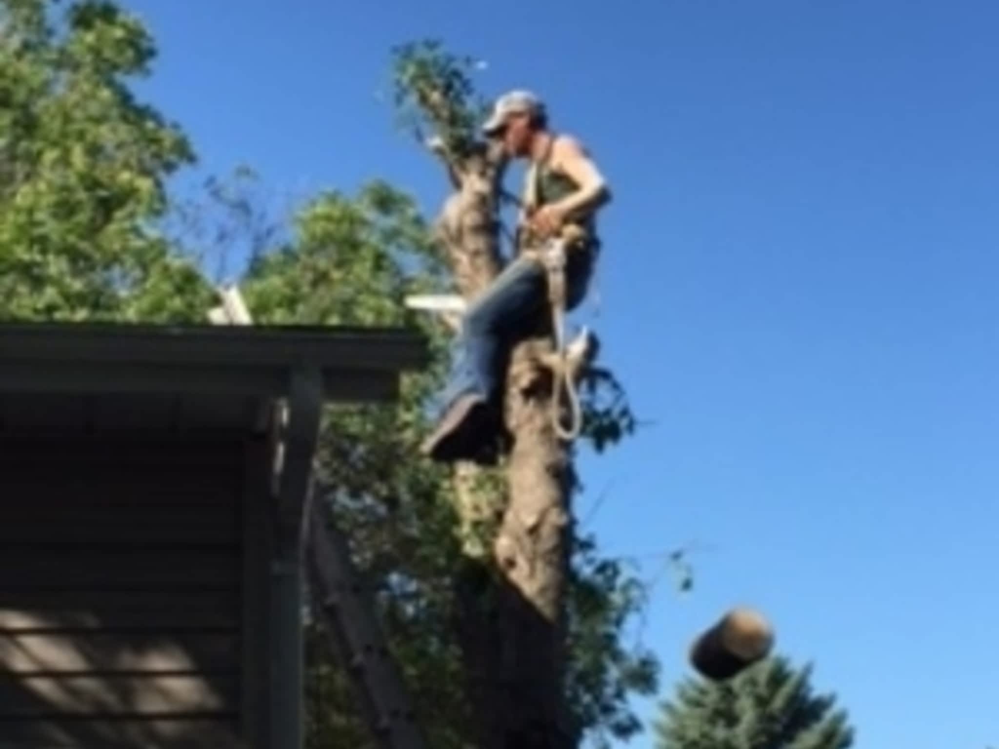photo CarLen Tree Service