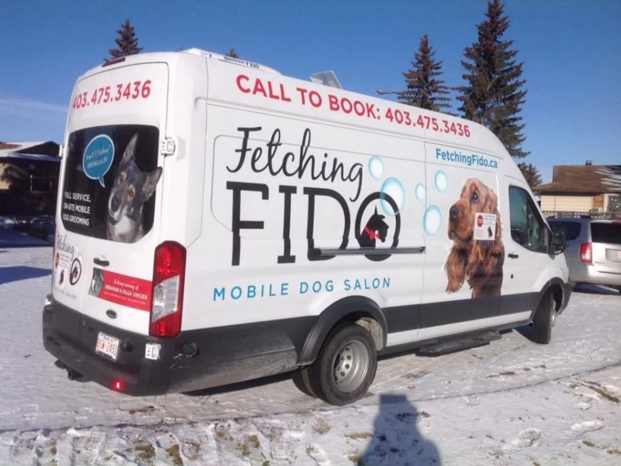 photo Fetching Fido Ltd
