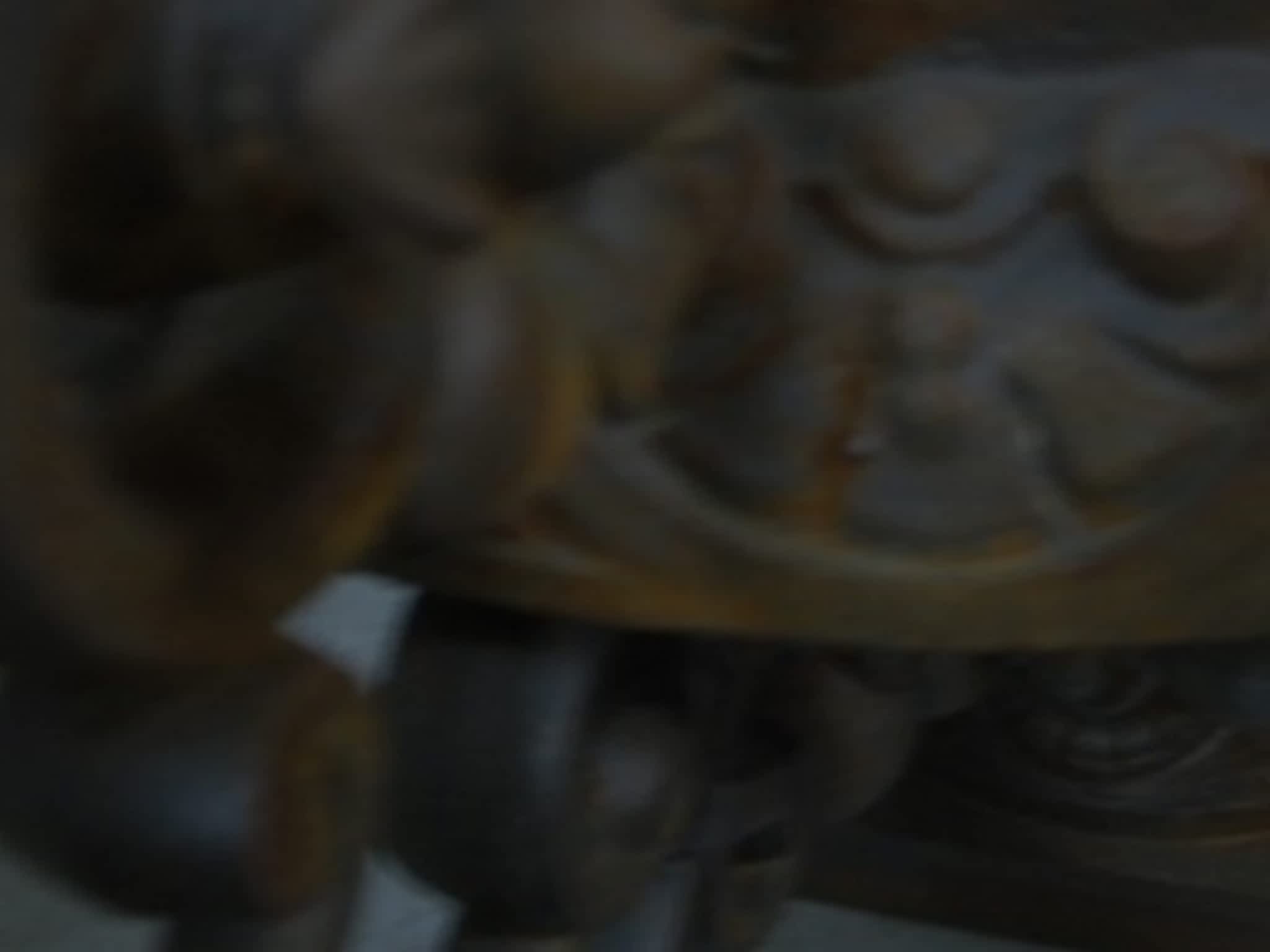 photo The Craftsman's Touch