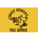 View Busy Beavers Tree Service’s Dieppe profile