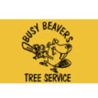 Busy Beavers Tree Service - Service d'entretien d'arbres