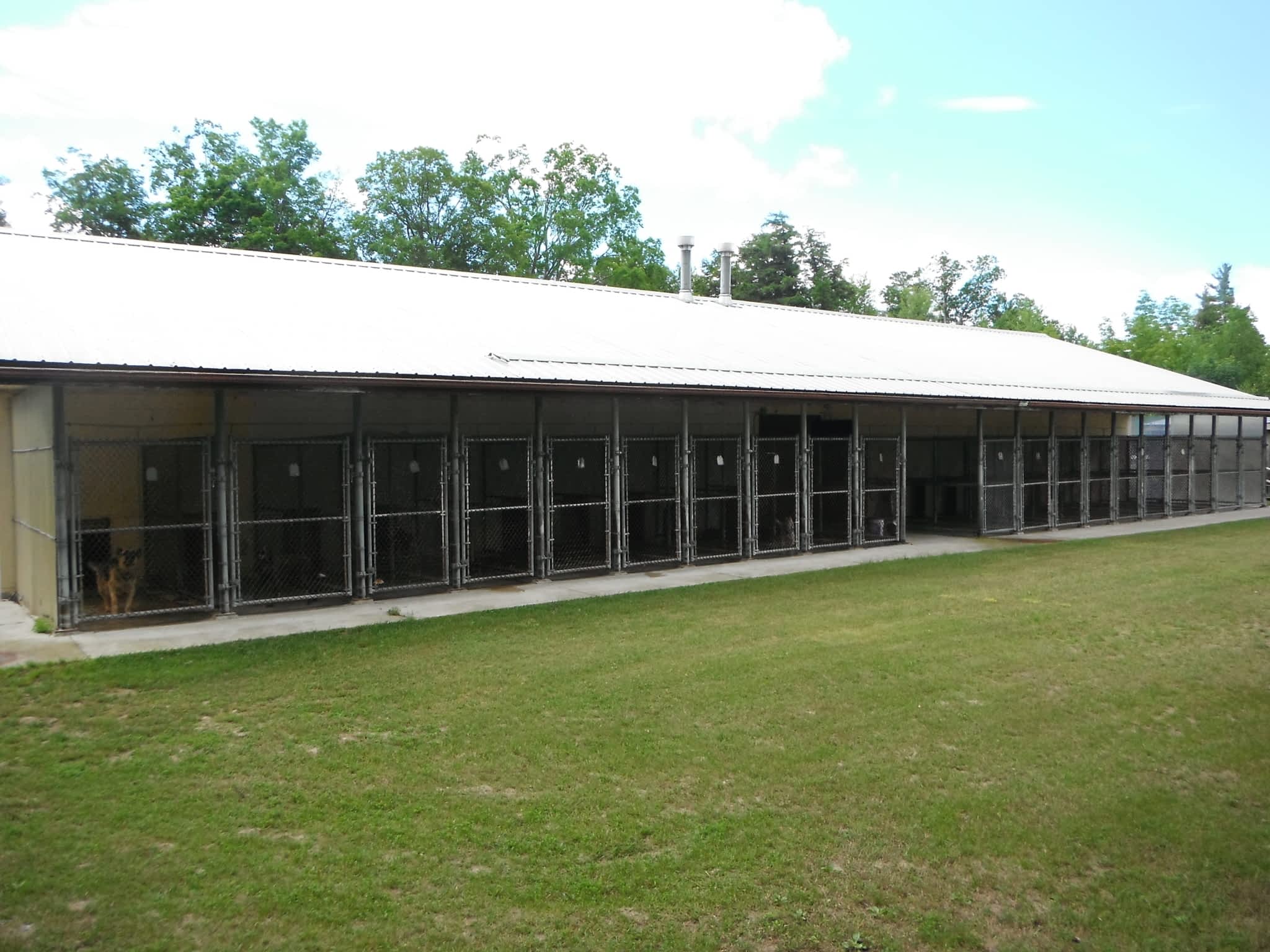 Country Kennels Baltimore, ON 626 County Road 22 RR 2 Canpages