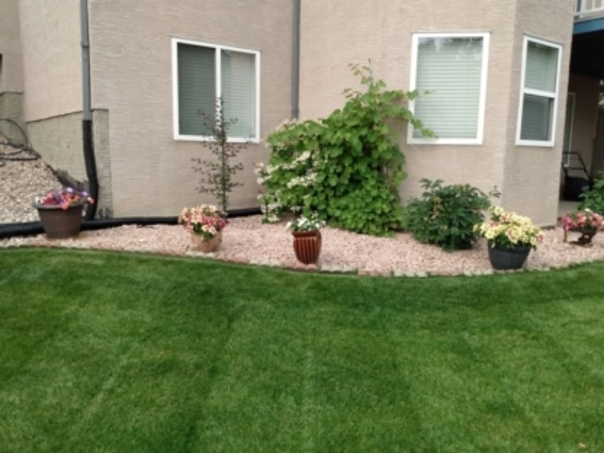 photo Cal-Arbor Landscaping, Snow + Ice Removal
