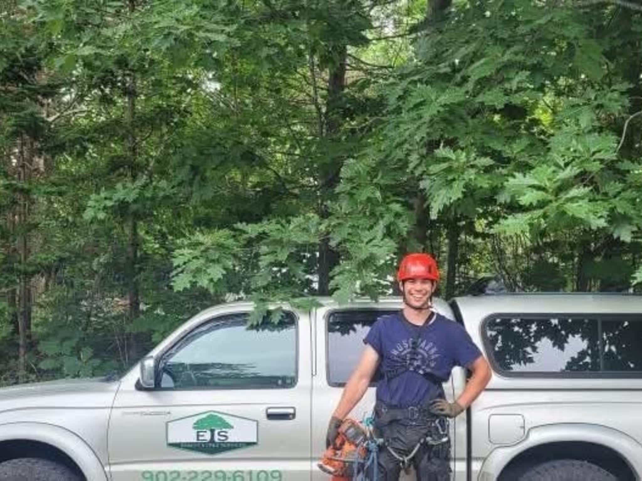 photo Emmitt's Tree Services
