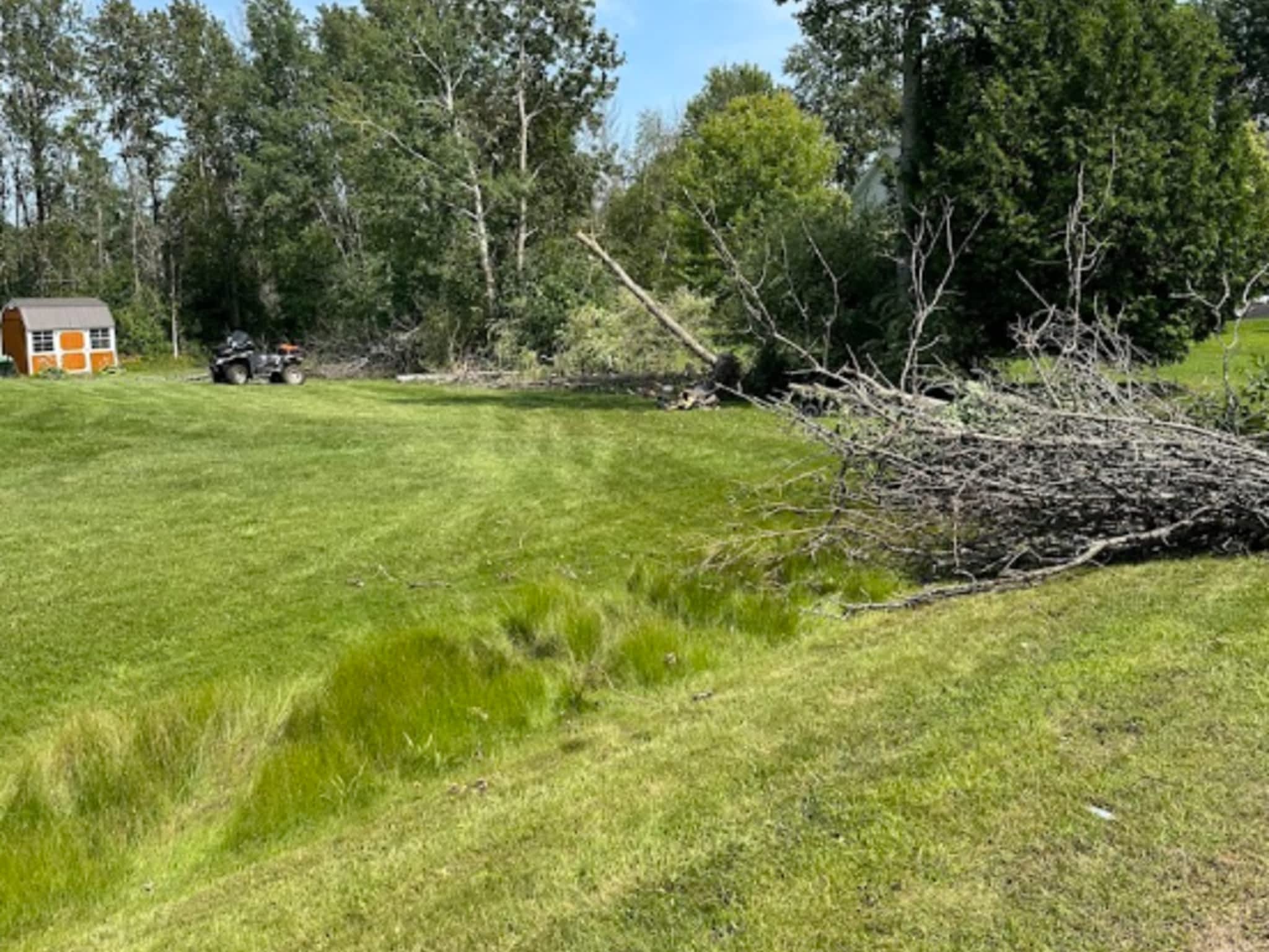 photo Gartons Tree Services