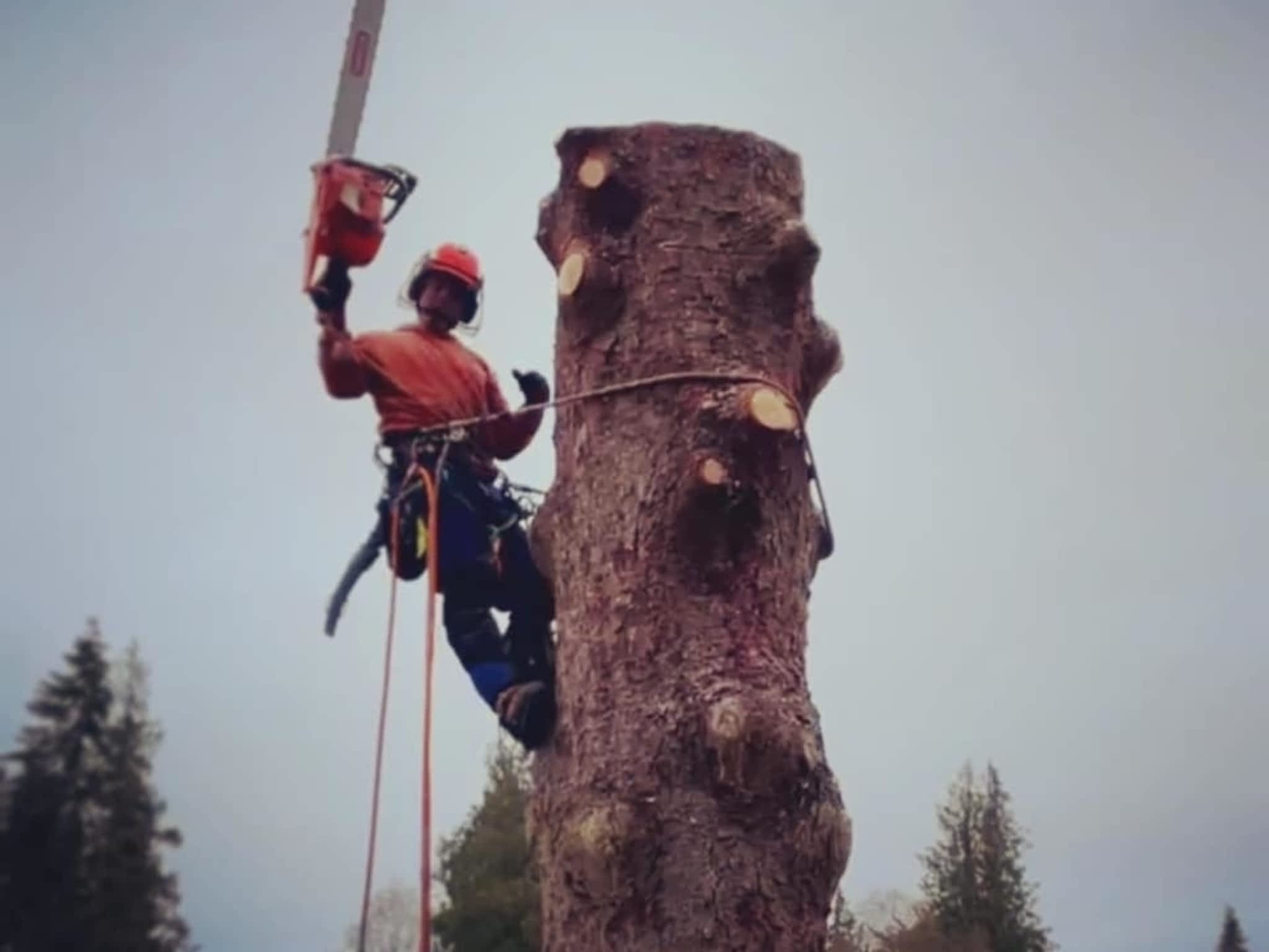 photo Flex Tree Service