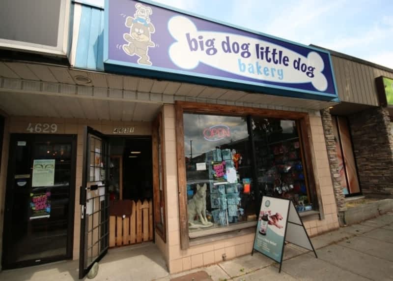 Big dog little dog bakery sale