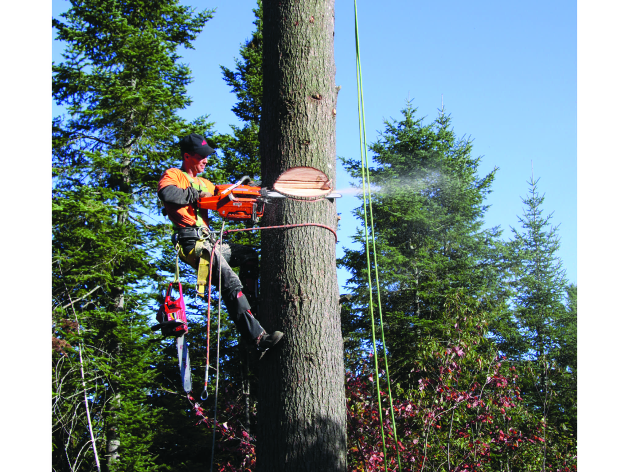 photo Bouchard Multi-Services Enr