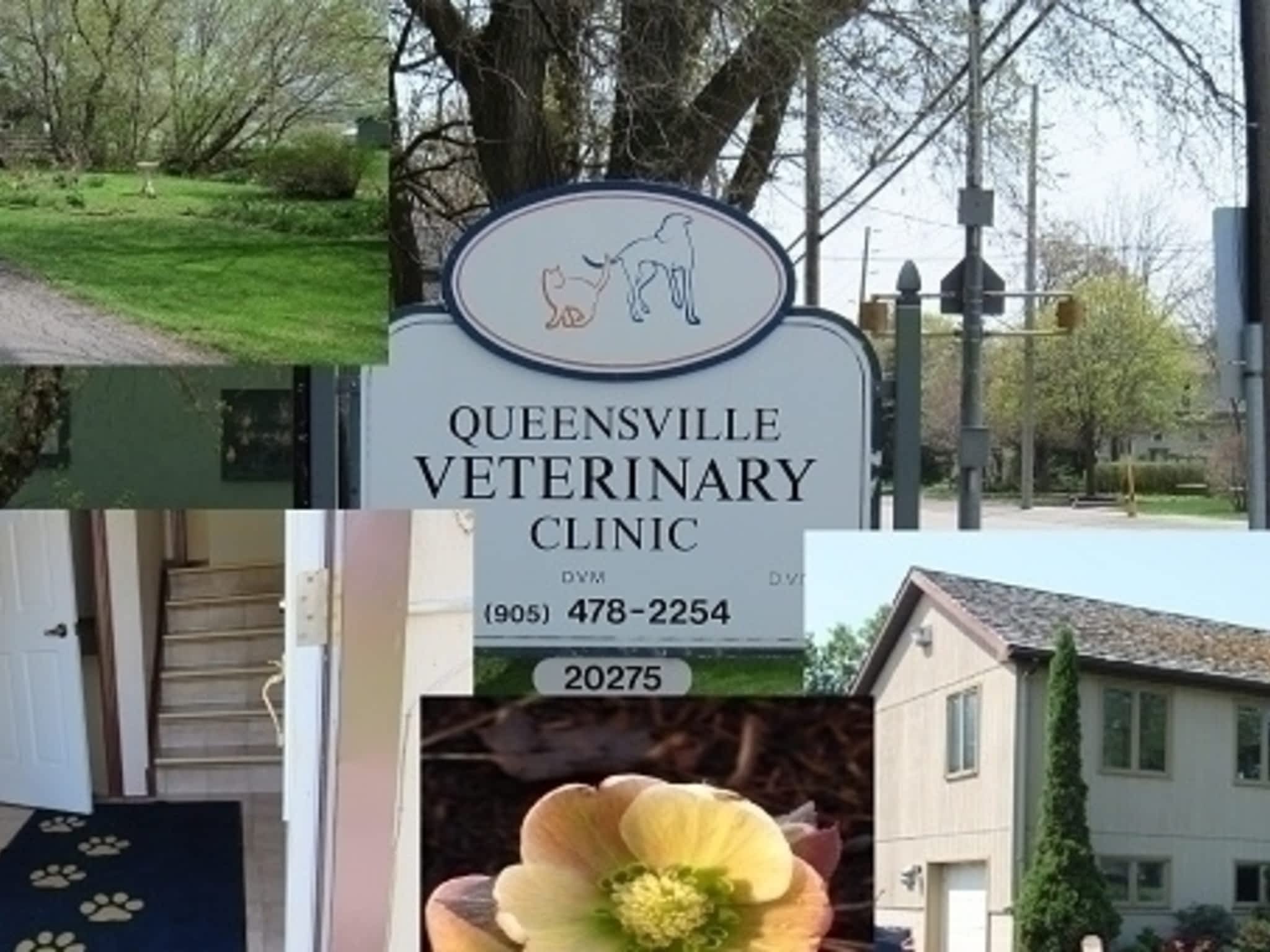 photo Queensville Veterinary Clinic