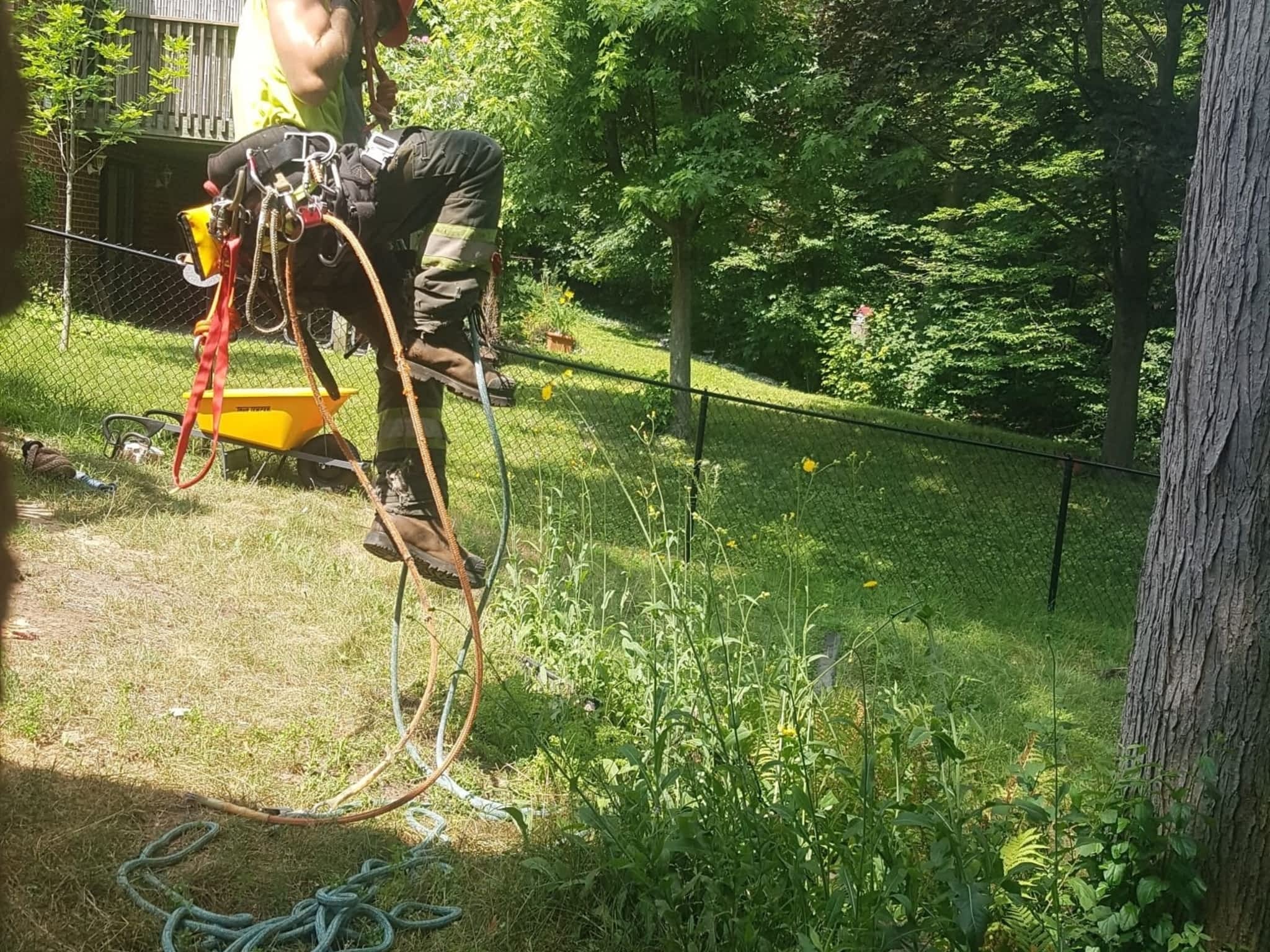 photo Wright's Tree Care